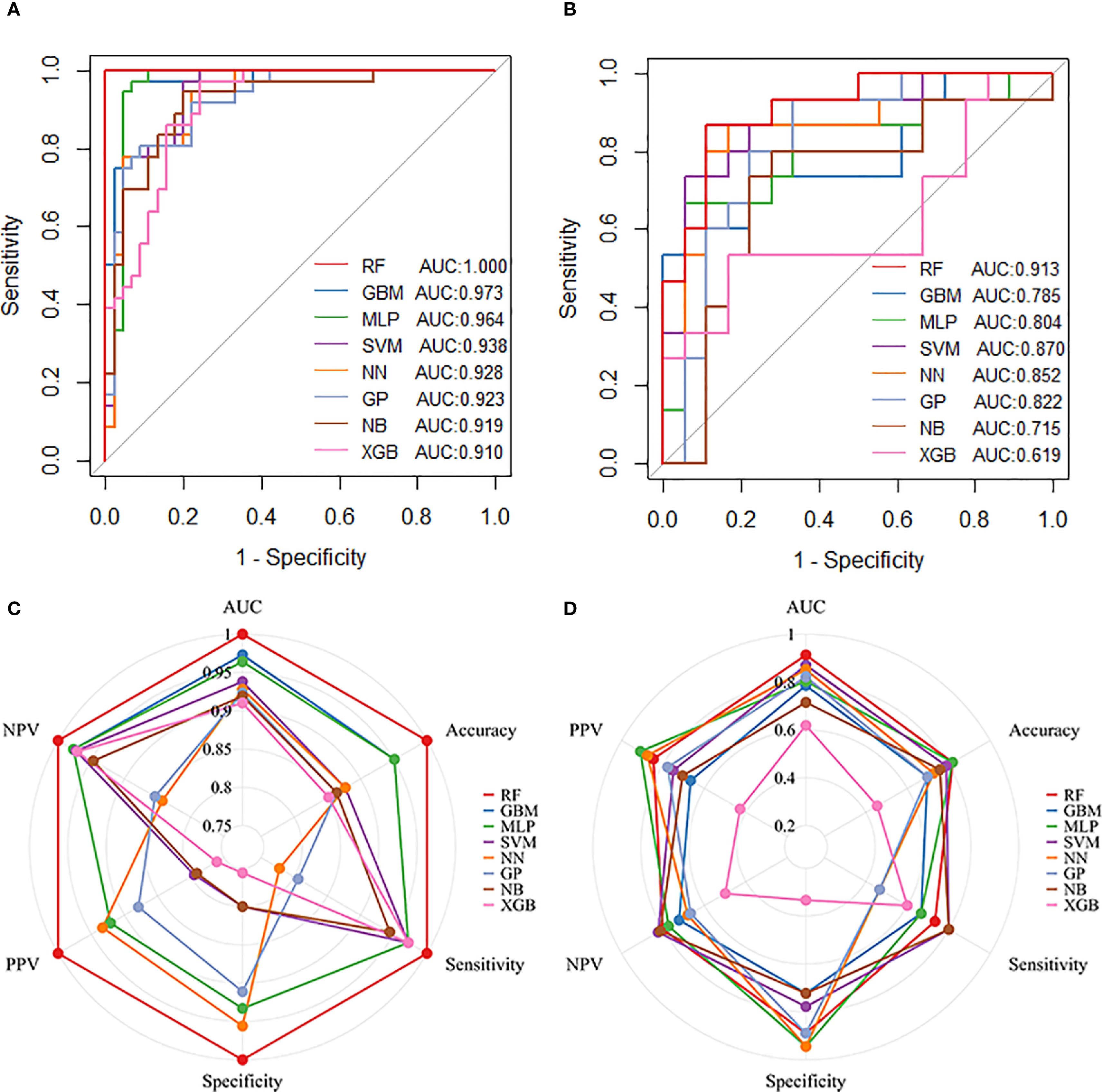 Panel A shows an ROC curve comparison of various models with AUC values: RF (1.000), GBM (0.973), MLP (0.964), SVM (0.938), NN (0.928), GP (0.923), NB (0.919), XGB (0.910). Panel B displays another ROC curve with AUCs: RF (0.913), GBM (0.785), MLP (0.804), SVM (0.870), NN (0.852), GP (0.822), NB (0.715), XGB (0.619). Panel C presents a radar chart comparing accuracy, sensitivity, specificity, PPV, NPV, and AUC of the same models. Panel D shows a similar radar chart with different scale values for the same metrics.