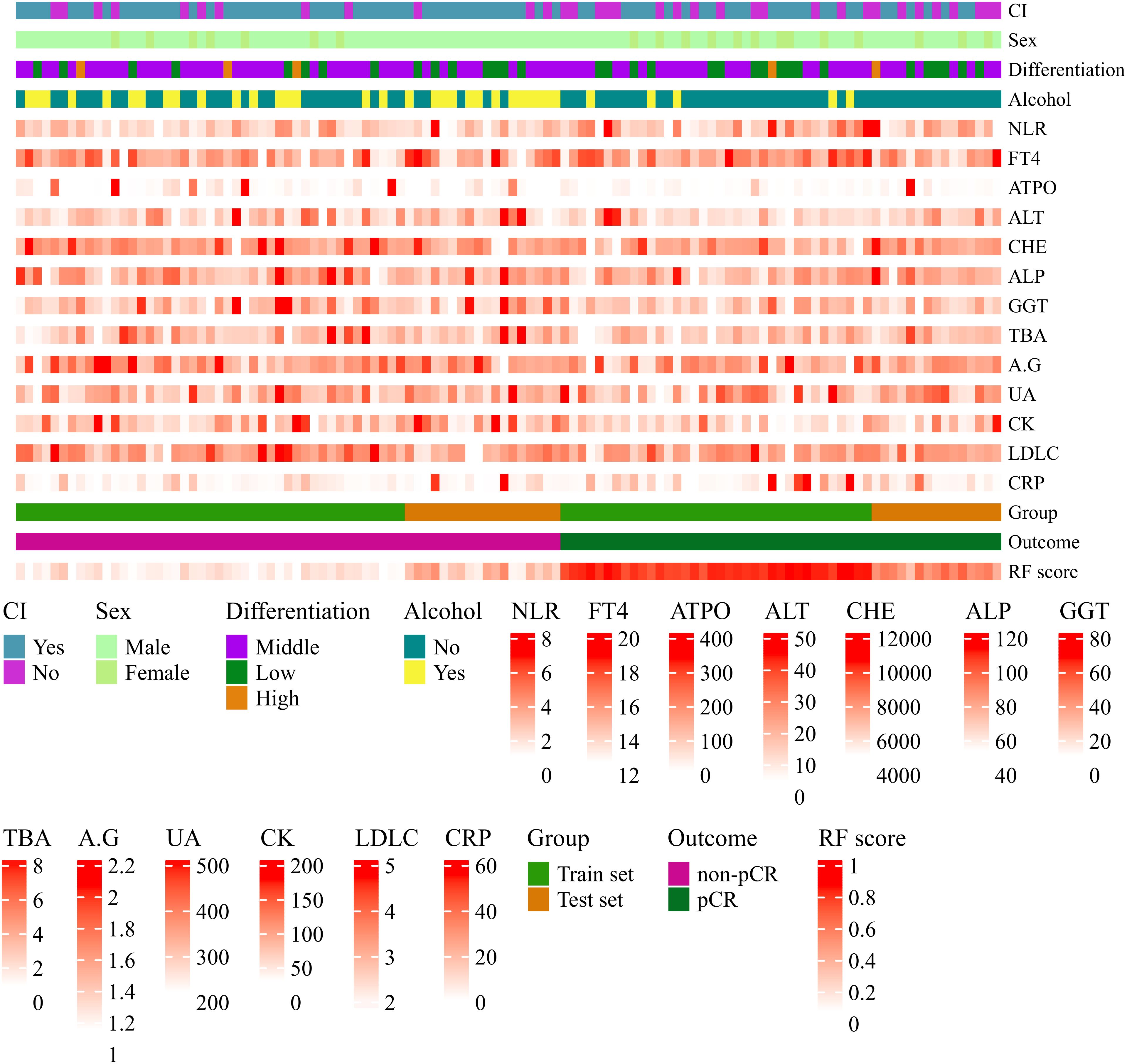 Heatmap depicting various clinical and laboratory parameters. Categories include CI, sex, differentiation, alcohol use, and multiple lab measurements like NLR, FT4, and ALT. There are labeled scales for each parameter, with color gradients indicating values. Additional legends describe group classifications, outcomes, and RF scores.