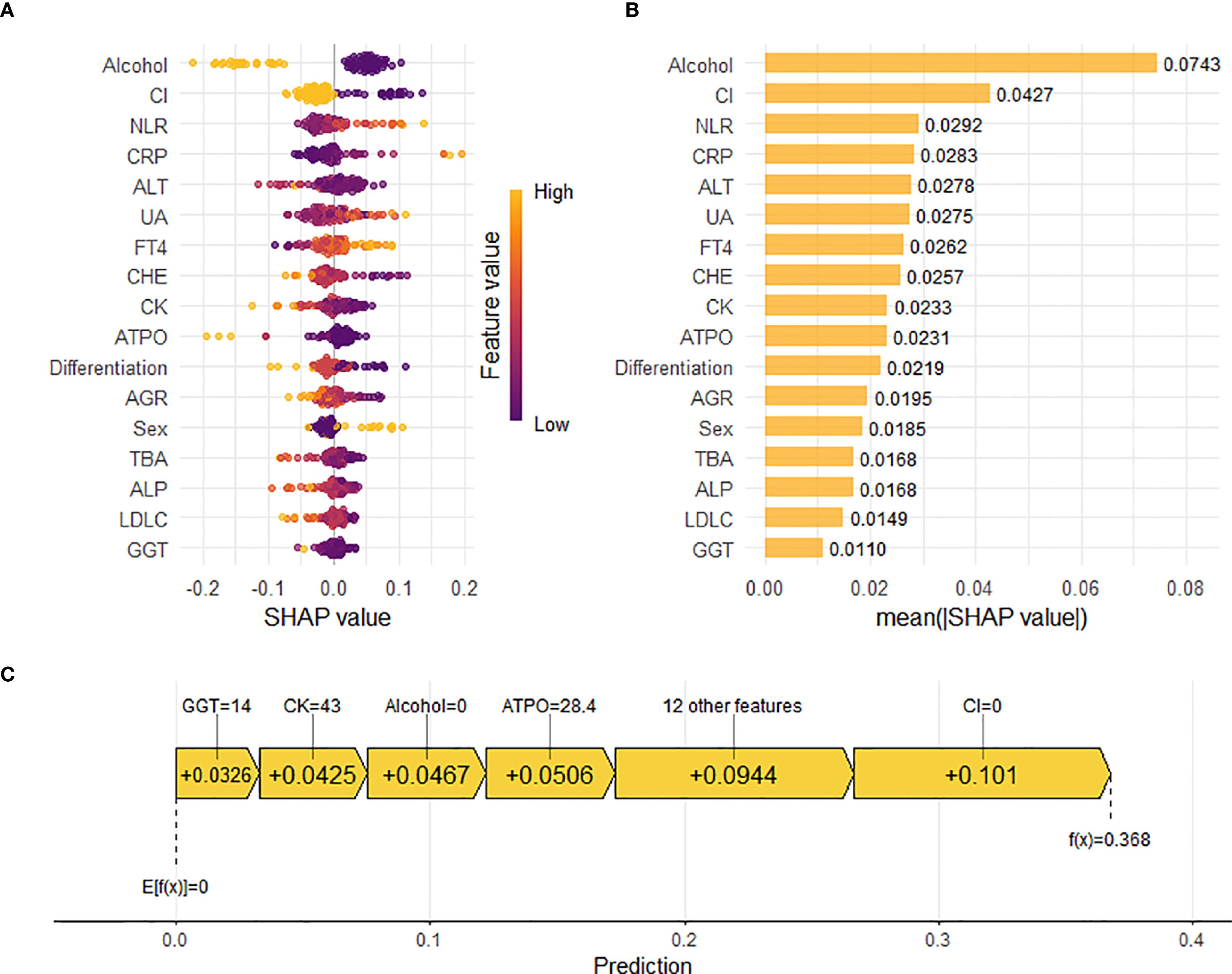Panel A shows a scatter plot with features on the y-axis and SHAP values on the x-axis, indicating feature importance in prediction, with colors representing feature values. Panel B displays a bar chart ranking features by mean absolute SHAP value, with alcohol having the highest value. Panel C is a waterfall plot illustrating how each feature contributes to the prediction, starting from a baseline and accumulating positive SHAP values to reach the final output.