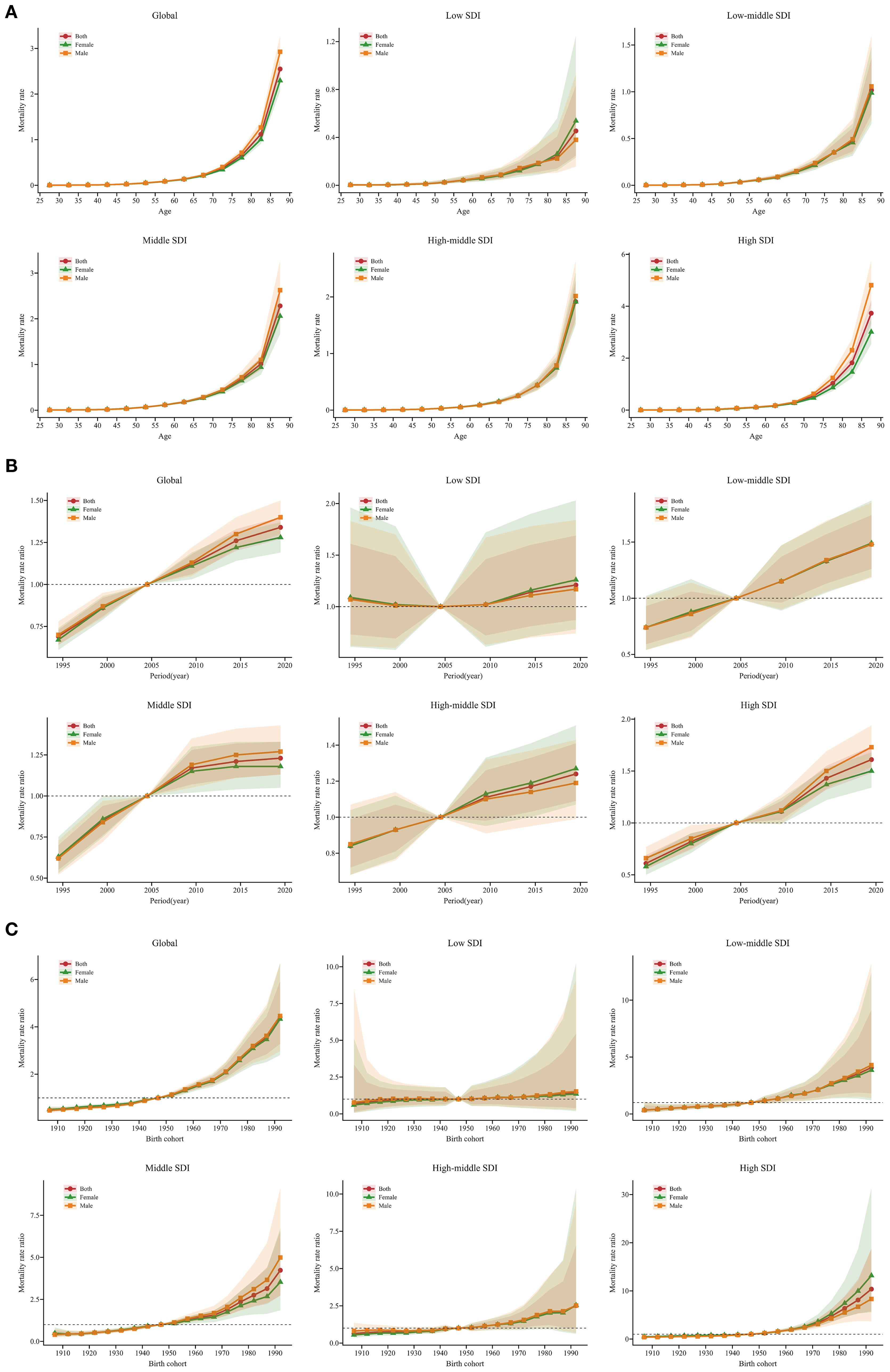Grouped panels show data on mortality rates by age, period, and birth cohort for different socio-demographic index (SDI) levels. Each section, labeled A, B, and C, presents graphs for Global, Low SDI, Low-middle SDI, Middle SDI, High-middle SDI, and High SDI, with separate lines for both genders, females, and males. The graphs depict trends and ratios across varying metrics, highlighting differences based on SDI levels.