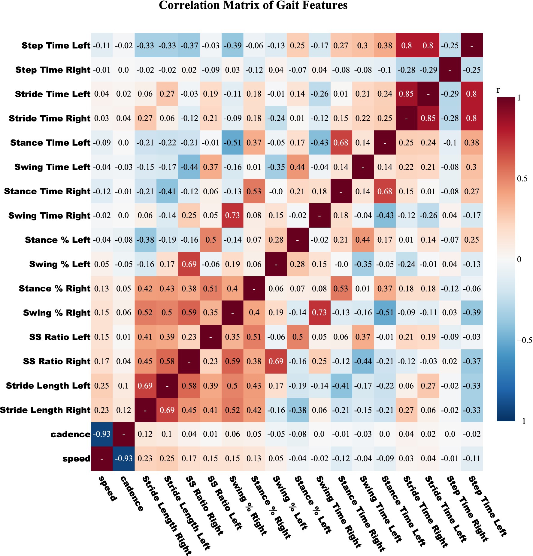 Correlation matrix of gait features showing relationships between variables like step time, stride time, and cadence. Colors range from blue (negative correlation) to red (positive correlation). Notable correlations include cadence and speed both having strong negative correlations with step time.