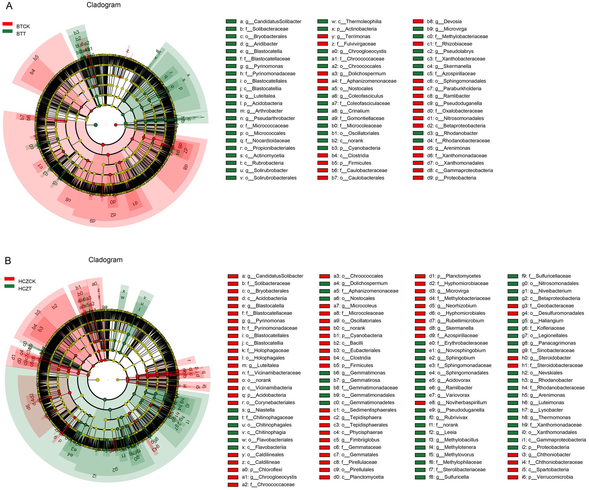 Two cladograms labeled A and B show different bacterial taxonomic classifications using concentric circles. Cladogram A compares BTCK and BTT groups, with red and green highlighting indicating different classifications. Cladogram B compares HCZCK and HCZT groups, also using red and green highlighting. Both include detailed labels for genera and families.