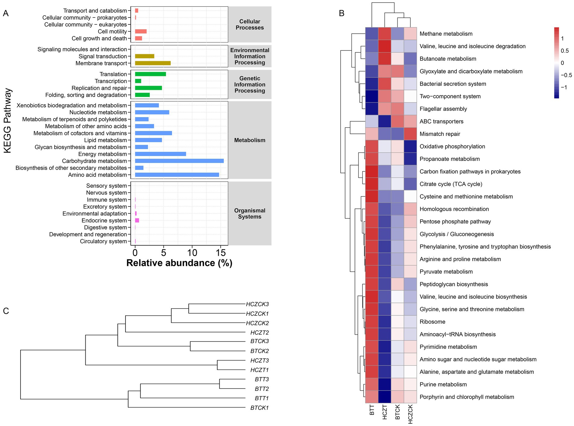 Panel A shows a bar graph displaying KEGG pathway categories with relative abundance percentages. Major groups include Metabolism and Genetic Information Processing. Panel B is a heatmap of various metabolic processes, with color coding indicating expression levels. Panel C is a dendrogram illustrating the relationships between different sample clusters labeled HCZCK, HCZT, BTCK, and BTT.