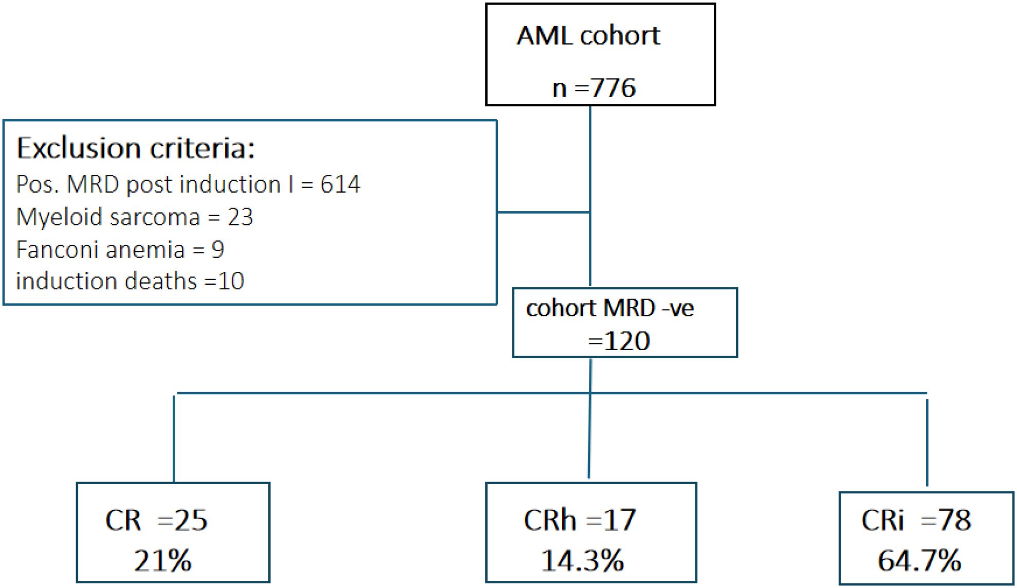 Flowchart showing the breakdown of an AML cohort of 776 individuals. Exclusion criteria include positive MRD post-induction I (614), myeloid sarcoma (23), Fanconi anemia (9), and induction deaths (10). After exclusions, 120 individuals are MRD negative. This group is further divided into CR (25, 21%), CRh (17, 14.3%), and CRi (78, 64.7%).