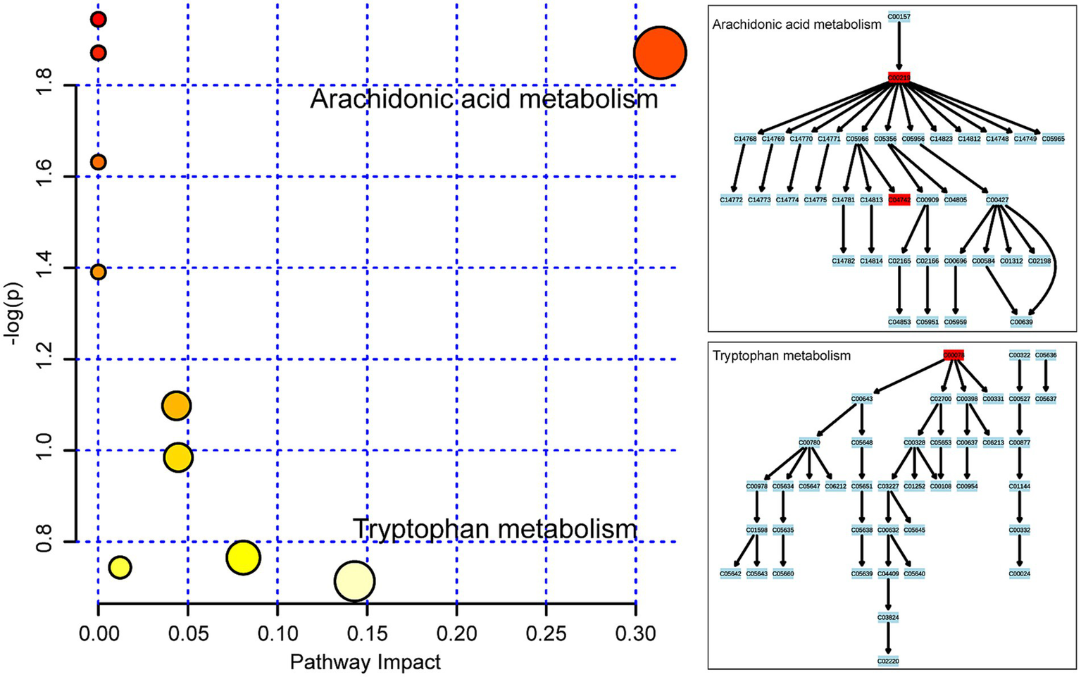 Scatterplot with colored bubbles showing pathway impact against negative log of p-value. Arachidonic acid metabolism has the highest impact and significance, marked by a large orange bubble. Tryptophan metabolism shows moderate impact. Insets detail metabolic pathway diagrams for both arachidonic acid and tryptophan, showing interconnected metabolites and reactions.