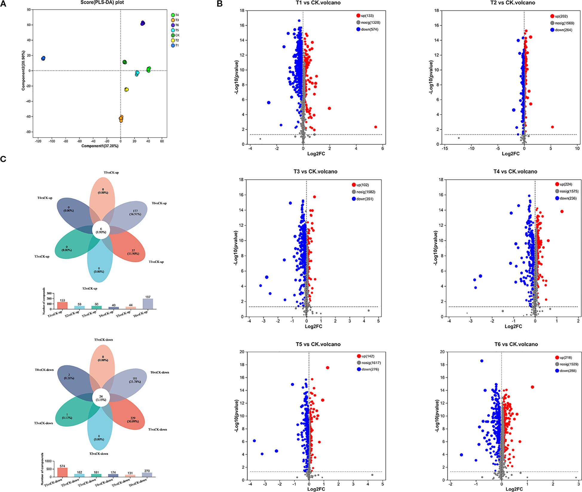 Section A features a PLS-DA score plot with distinct clusters denoted by different colors. Section B has six volcano plots comparing T1 to T6 against CK, showcasing upregulated (red) and downregulated (blue) genes. Section C displays two Venn diagrams highlighting gene overlap across different conditions with corresponding bar charts indicating the number of genes in each category.