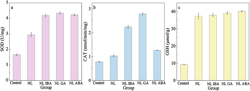 Three bar charts labeled a, b, and c display antioxidant enzyme activity and concentrations in different groups: Control, NL, NL IBA, NL GA, and NL ABA. Chart a shows SOD activity peaking in NL IBA and NL GA groups. Chart b shows CAT activity highest in the NL group. Chart c shows GSH concentrations highest in NL groups, except for lower values in Control. Each chart includes error bars.