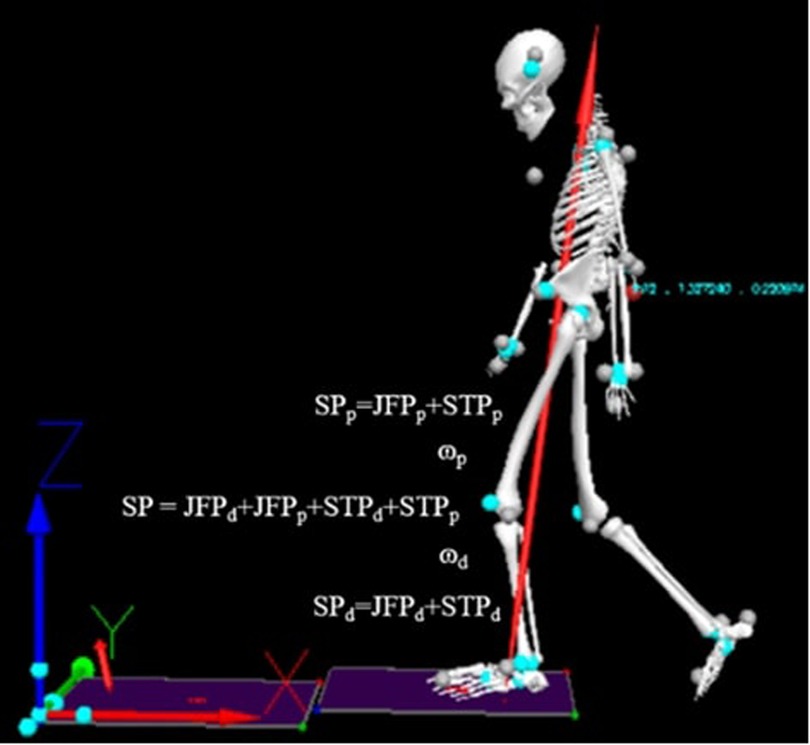 Computer-generated image of a walking skeleton with joints marked by blue dots. Red lines indicate motion vectors. Mathematical equations explain force and trajectory analysis. Axes labeled in three dimensions.