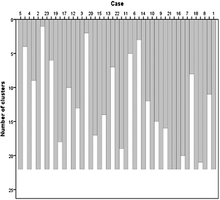 Bar chart showing the number of clusters for different cases, numbered one to twenty-three on the x-axis. The y-axis represents the number of clusters ranging from zero to twenty-five. Bars vary in height, with distinct gaps in some cases.