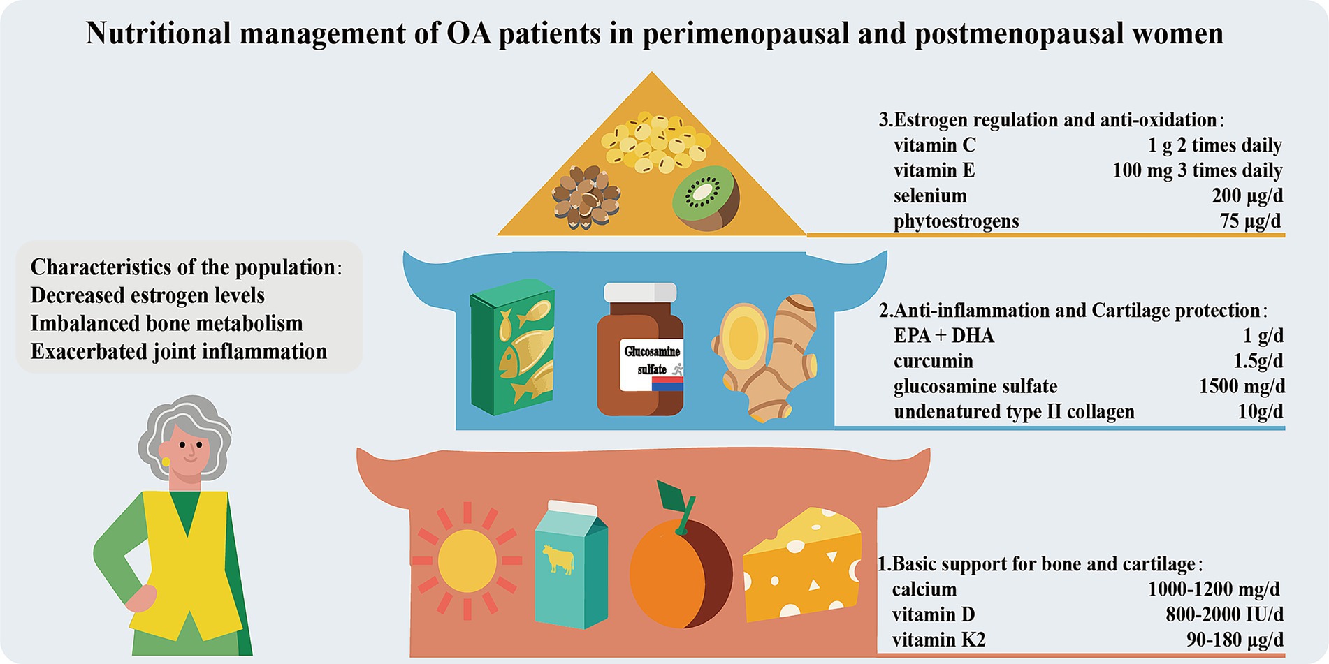 Nutritional management for osteoarthritis in perimenopausal and postmenopausal women is depicted. It includes basic support with calcium, vitamin D, and K2, anti-inflammation with EPA, DHA, curcumin, glucosamine, and collagen, and estrogen regulation with vitamins C and E, selenium, and phytoestrogens. Characteristics of the population include decreased estrogen, imbalanced bone metabolism, and joint inflammation. Images of supplements and natural sources such as fish, dairy, and fruits accompany the text.