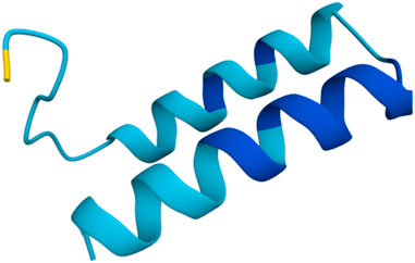 Helical ribbon structure in a gradient of blue colors. The helical turns display a smooth, continuous shape with a looped extension at one end.