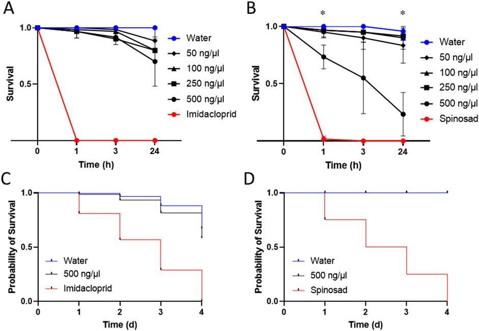 Graphs showing survival rates over time. A and B depict survival against time in hours for different solutions: water, varying ng/μl concentrations, imidacloprid, and spinosad. C and D show survival probability over days for water, 500 ng/μl solutions, and imidacloprid/spinosad. Imidacloprid and spinosad lines drop sharply, indicating decreased survival compared to other solutions.