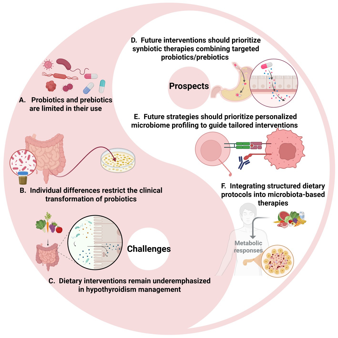 Yin-yang diagram depicting challenges and prospects of microbiota-based therapies. Challenges: A) Limited use of probiotics; B) Individual differences in probiotics' clinical transformation; C) Underemphasis on dietary interventions in hypothyroidism. Prospects: D) Prioritizing synbiotic therapies; E) Personalized microbiome profiling; F) Integrating dietary protocols into therapies. Illustrations accompany each point.