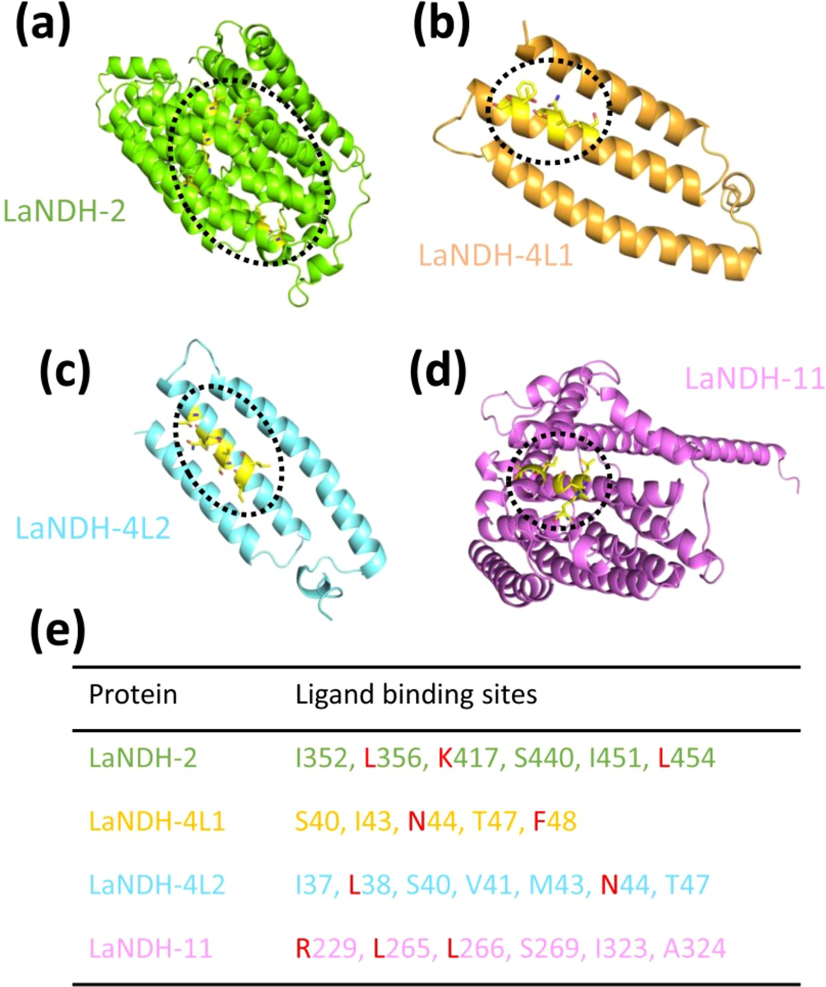 Protein structures represented in ribbon models with ligand binding sites highlighted. (a) LaNDH-2 in green, (b) LaNDH-4L1 in orange, (c) LaNDH-4L2 in cyan, (d) LaNDH-11 in purple. (e) A table lists the proteins with their ligand binding sites, color-coded respectively: LaNDH-2 (I352, L356, K417, S440, I451, L454), LaNDH-4L1 (S40, I43, N44, T47, F48), LaNDH-4L2 (I37, L38, S40, V41, M43, N44, T47), and LaNDH-11 (R229, L265, L266, S269, I323, A324).