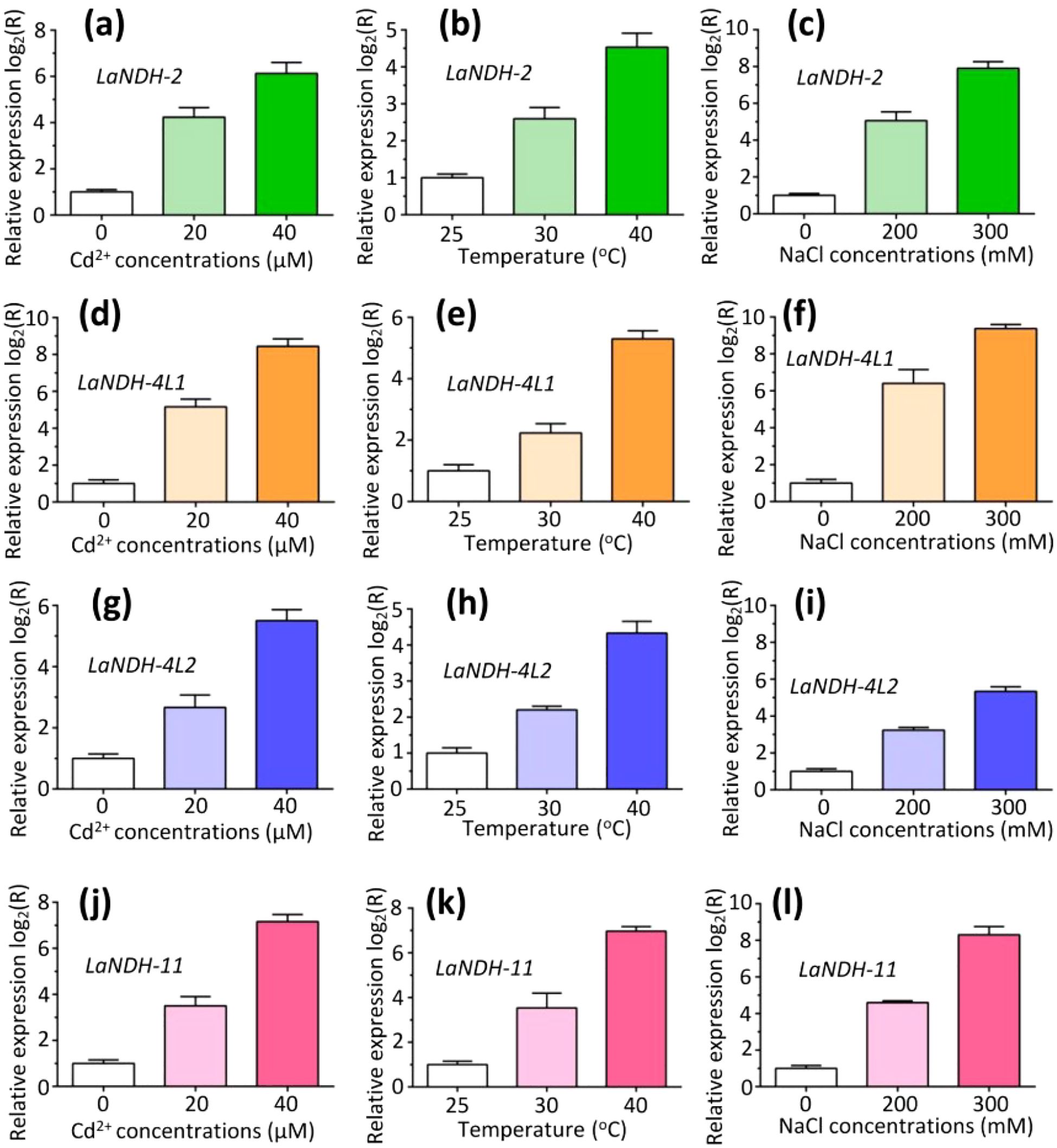 Bar graphs illustrating the relative expression levels of three genes: LaNDH-2, LaNDH-4L1, and LaNDH-4L2 under varying conditions. Panels (a), (d), (g), and (j) show gene expression at different Cd²⁺ concentrations (0, 20, 40 μM). Panels (b), (e), (h), and (k) depict expression at varied temperatures (25, 30, 40 °C). Panels (c), (f), (i), and (l) represent expression under different NaCl concentrations (0, 200, 300 mM). Each graph displays increasing expression levels with higher treatment intensities.