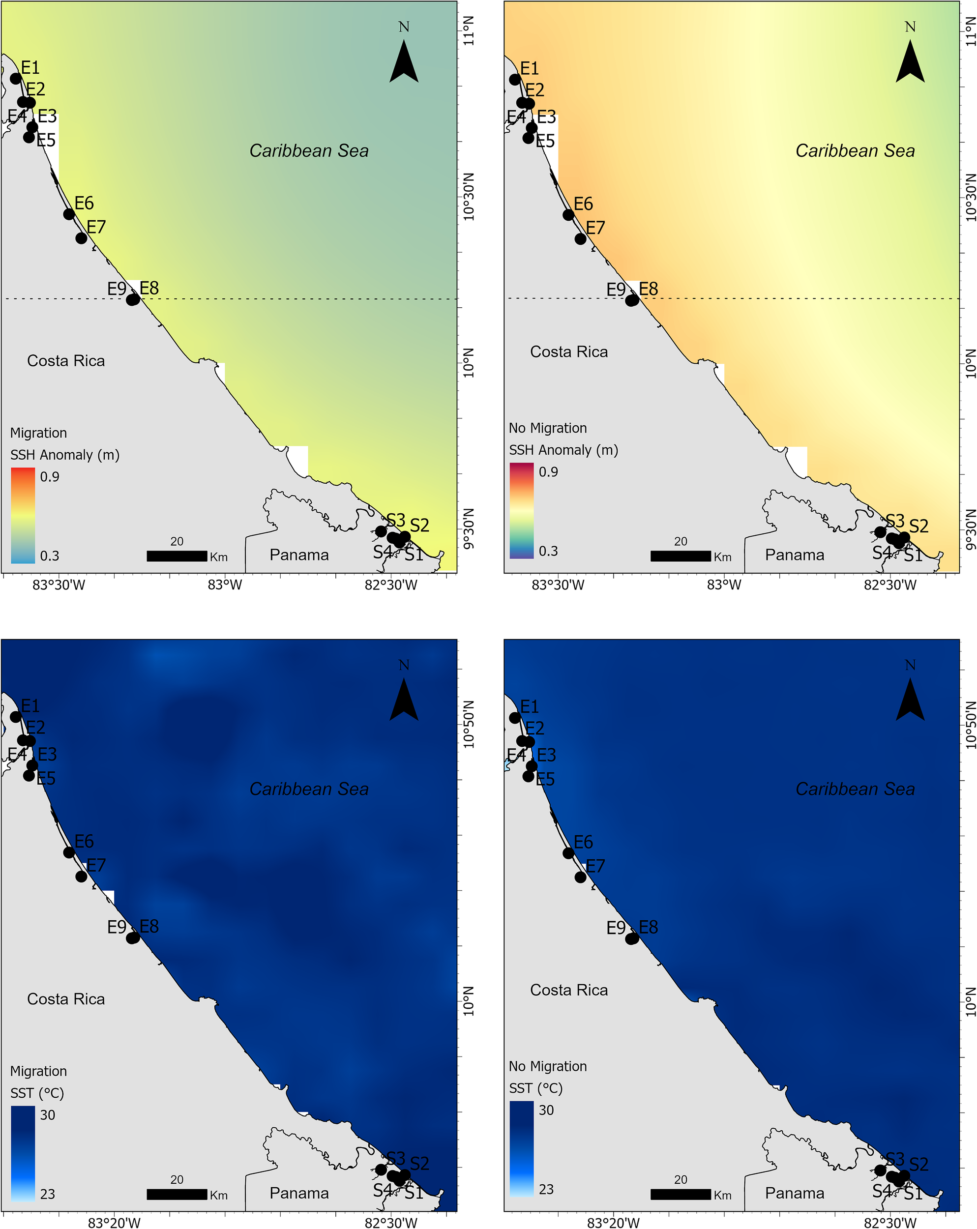 Four-panel map of Costa Rica's Caribbean coast and Panama, showing sea surface height (SSH) and sea surface temperature (SST) anomalies. The top two panels depict SSH anomalies, with left indicating migration and right showing no migration. Color gradients range from blue (0.3 meters) to orange (0.9 meters). The bottom two panels display SST anomalies, with left showing migration and right no migration. Gradients range from blue (23 degrees Celsius) to dark blue (30 degrees Celsius). Black dots mark locations E1 to E9 and S1 to S4. North arrow and scale bars included.