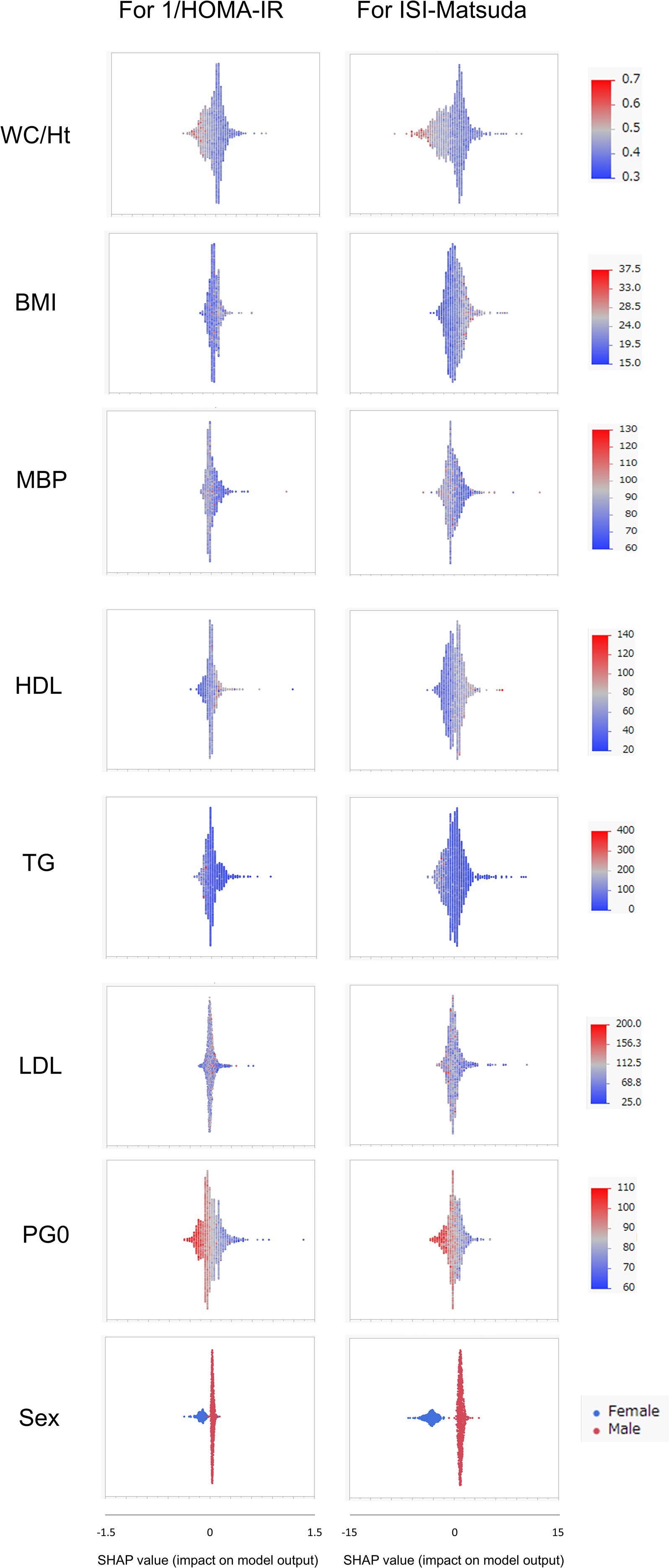 Graphs showing SHAP values for factors impacting 1/HOMA-IR and ISI-Matsuda models. Variables include WC/Ht, BMI, MBP, HDL, TG, LDL, PG0, and sex. Colors denote gender, with blue for females and red for males. Each plot displays the impact of these variables on the model outputs.