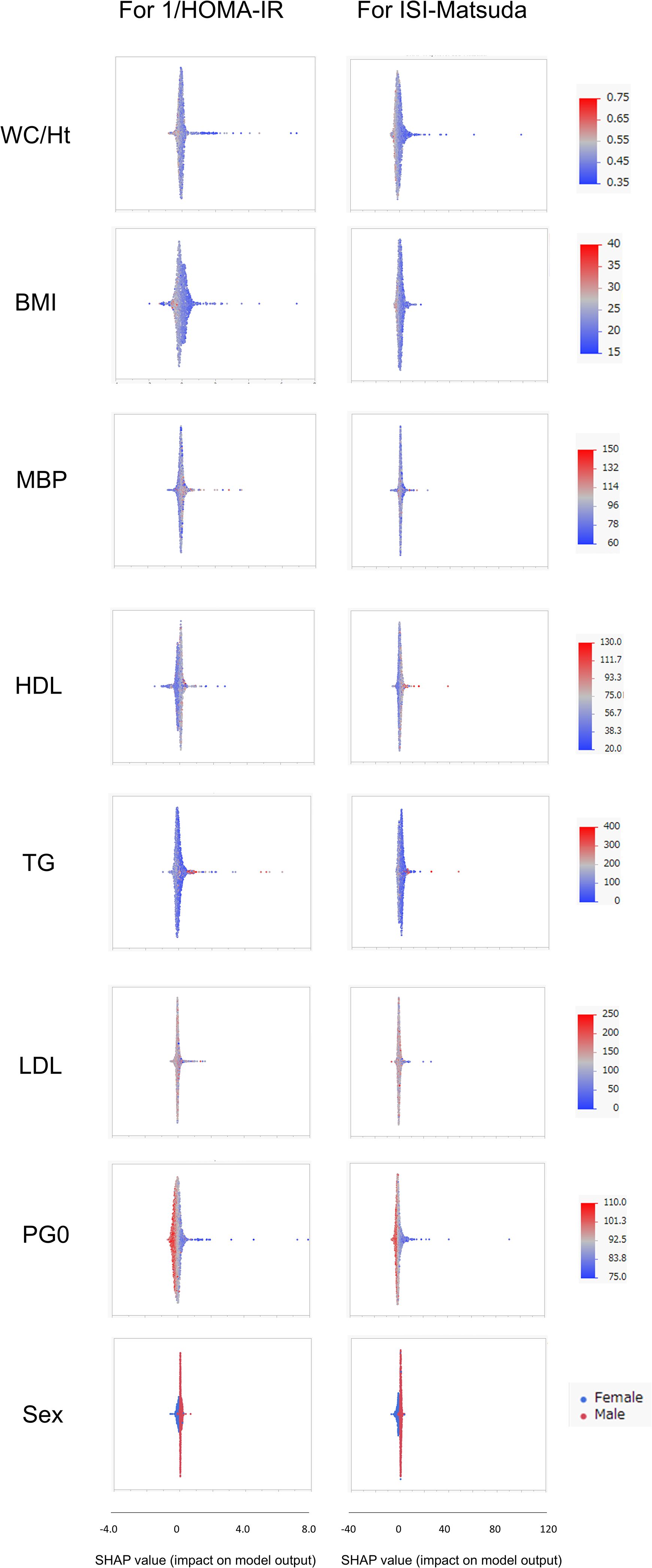 Comparison of SHAP value impacts on model outputs for HOMA-IR and ISI-Matsuda. Vertical panels display SHAP plots for features including WC/Ht, BMI, MBP, HDL, TG, LDL, PG0, and Sex. Plots show gender differences with red for males and blue for females. The color gradient indicates variable intensity, and SHAP value ranges are shown along the x-axis.