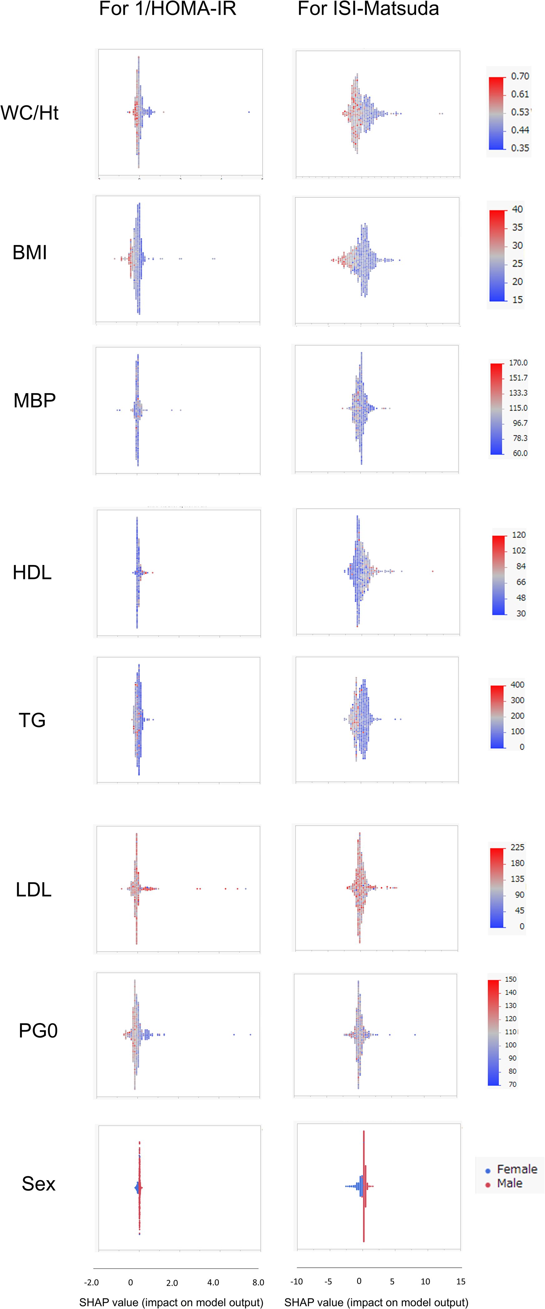 Bar graph displaying SHAP values for multiple variables related to model output impact, separated by gender for two models: 1/HOMA-IR and ISI-Matsuda. Variables include waist circumference to height ratio, BMI, mean blood pressure, HDL, triglycerides, LDL, plasma glucose, and sex. Color gradients indicate variable values, with red for females and blue for males.