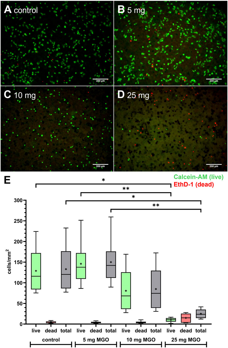 Fluorescence microscopy images (A-D) show cells stained with Calcein-AM for live cells in green and EthD-1 for dead cells in red under different conditions: control, 5 mg, 10 mg, and 25 mg concentrations. Image E is a box plot comparing the number of live, dead, and total cells per square millimeter across the conditions, highlighting significant differences with asterisks. Each microscopy image includes a scale bar of 200 micrometers.