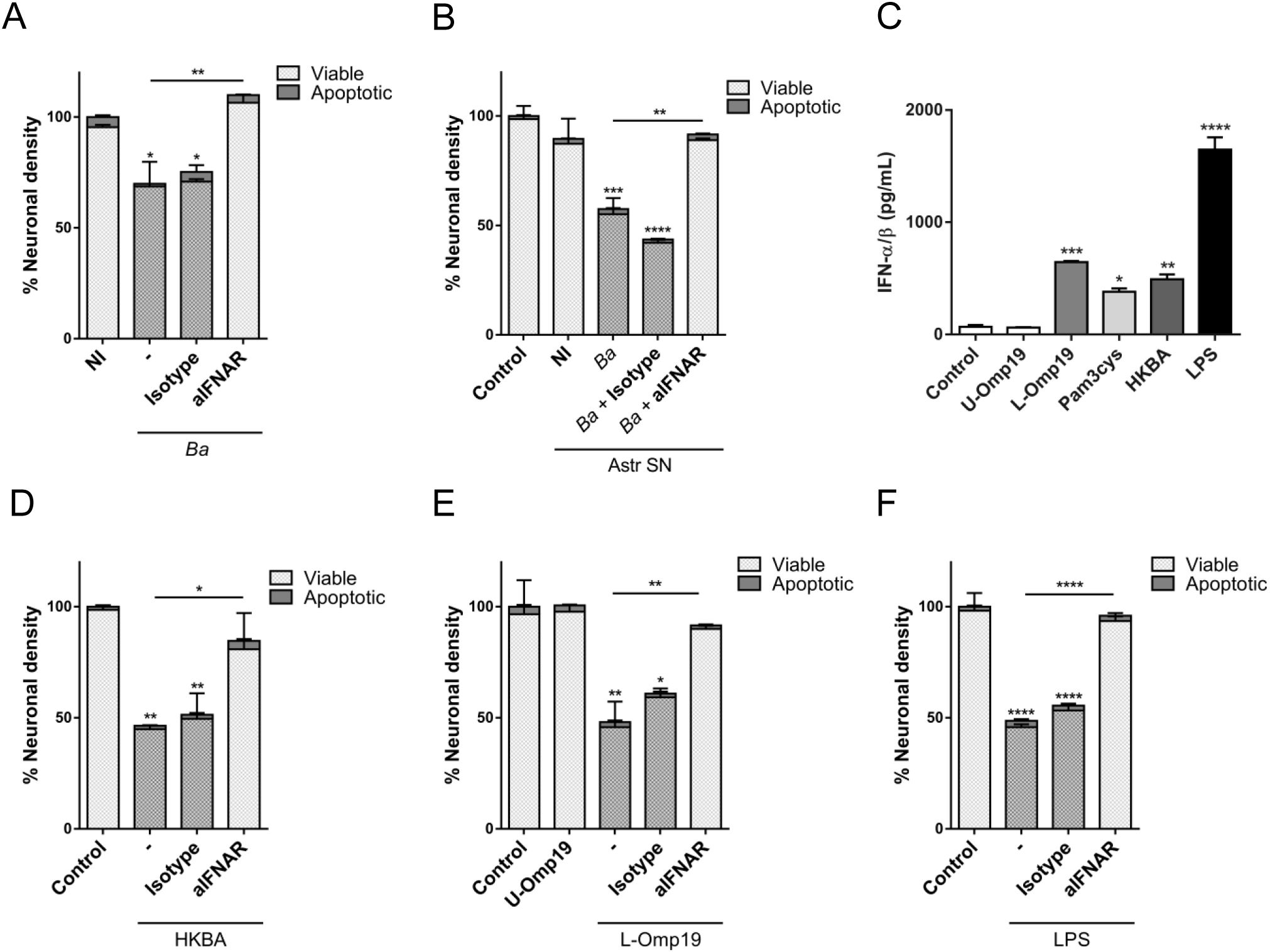 Bar graphs illustrate neuronal density and IFN-α/β levels across different conditions. Each graph indicates viable and apoptotic neuron percentages or cytokine production under various treatments. Significant differences are marked by asterisks.