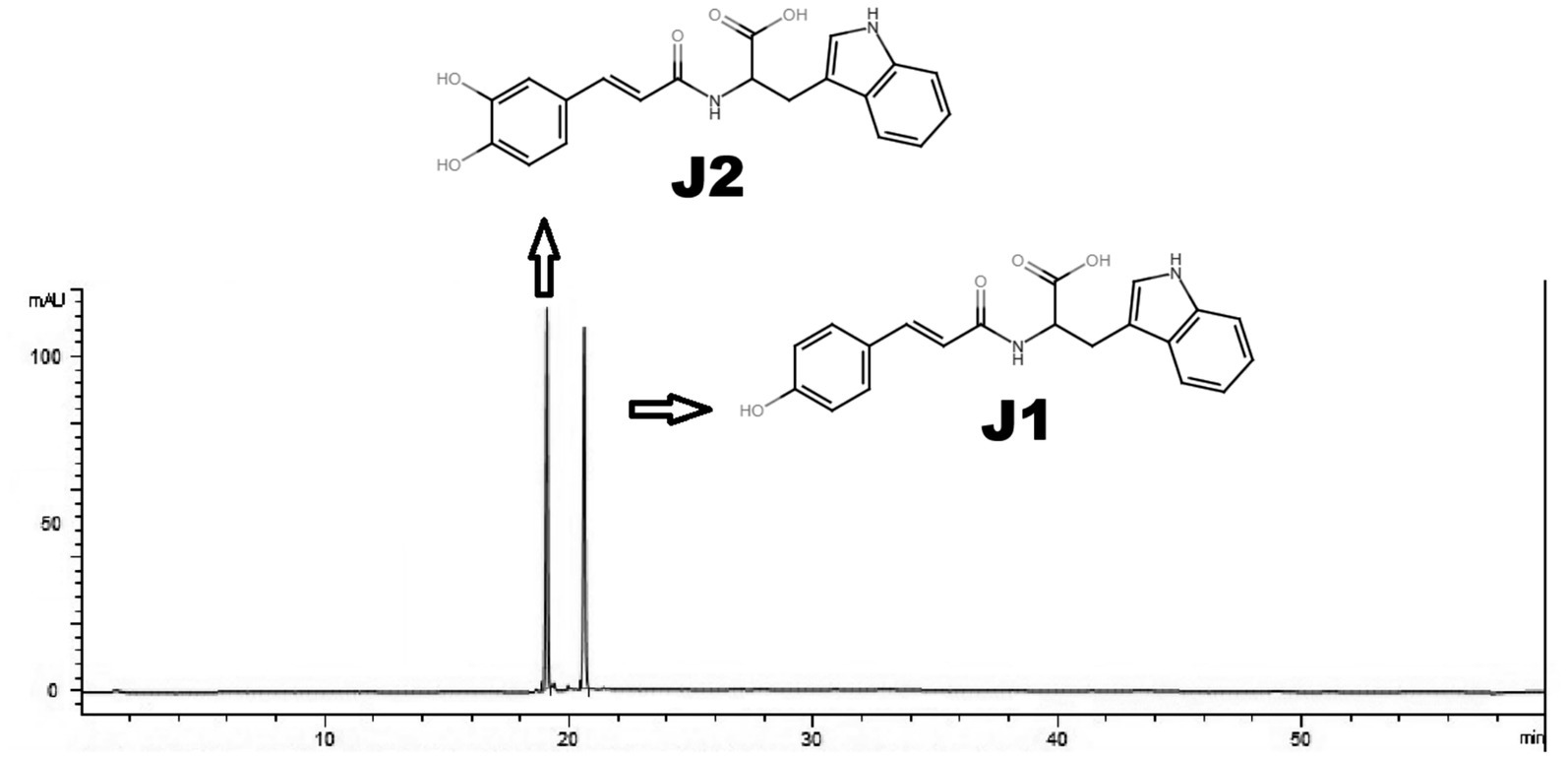 A chromatogram displaying two peaks labeled J1 and J2, representing chemical compounds with structural formulas shown above each peak. The x-axis indicates time in minutes, and the y-axis represents milli absorbance units (mAU). Peak J1 is on the right, and peak J2 is on the left.