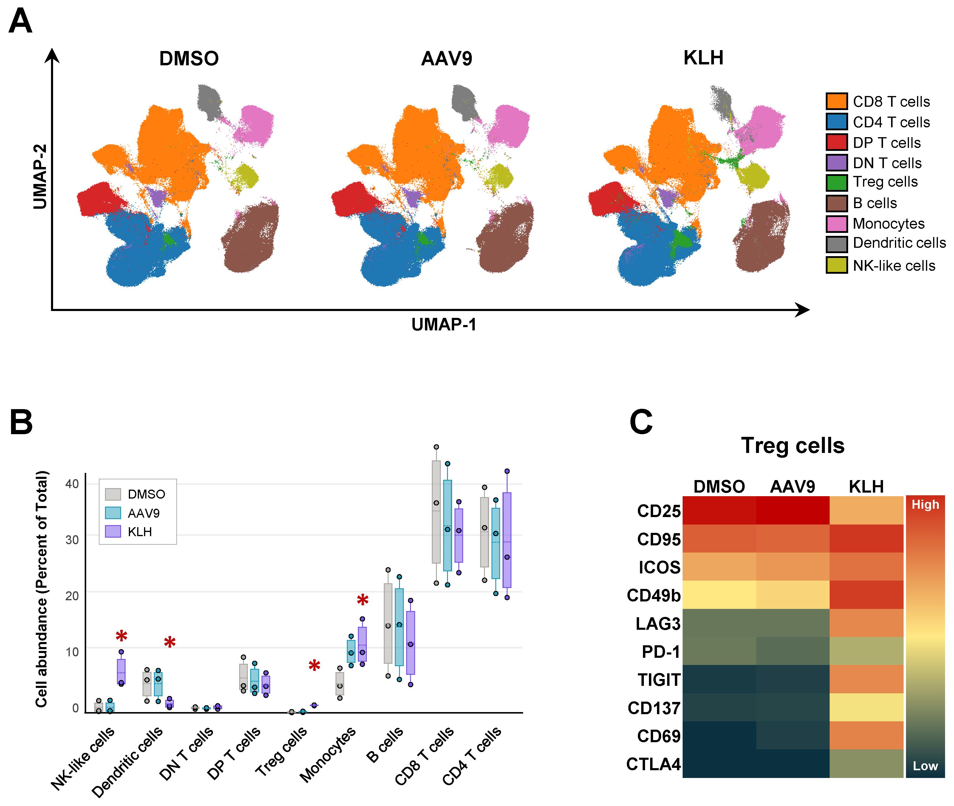 Panel A shows UMAP plots for DMSO, AAV9, and KLH, highlighting clusters of various immune cell types. Panel B is a box plot comparing cell abundance percentages for NK-like cells, dendritic cells, T cells, monocytes, and others across treatments. Red asterisks indicate significant differences. Panel C displays a heatmap of Treg cell markers, indicating expression levels with red for high and yellow for low.