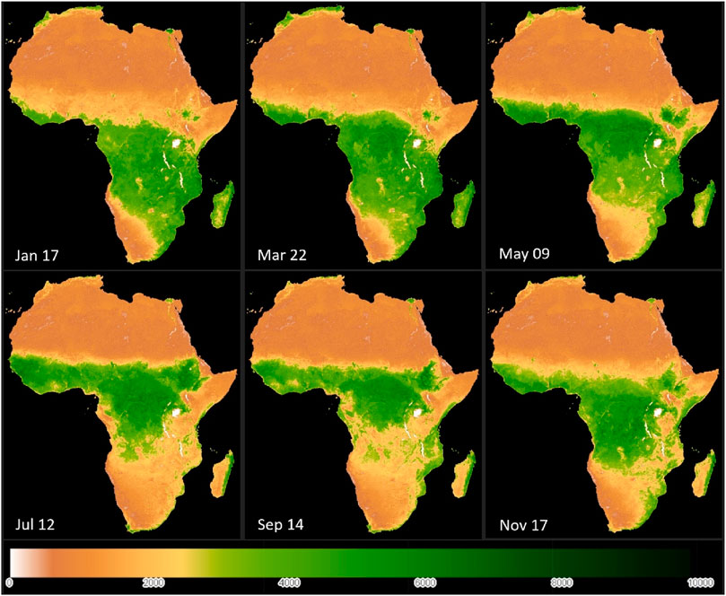Maps of Africa show vegetation changes over six dates: January 17, March 22, May 9, July 12, September 14, and November 17. Brown indicates low vegetation, and green indicates high vegetation. A color bar below ranges from Brown (0) to dark green (10,000).