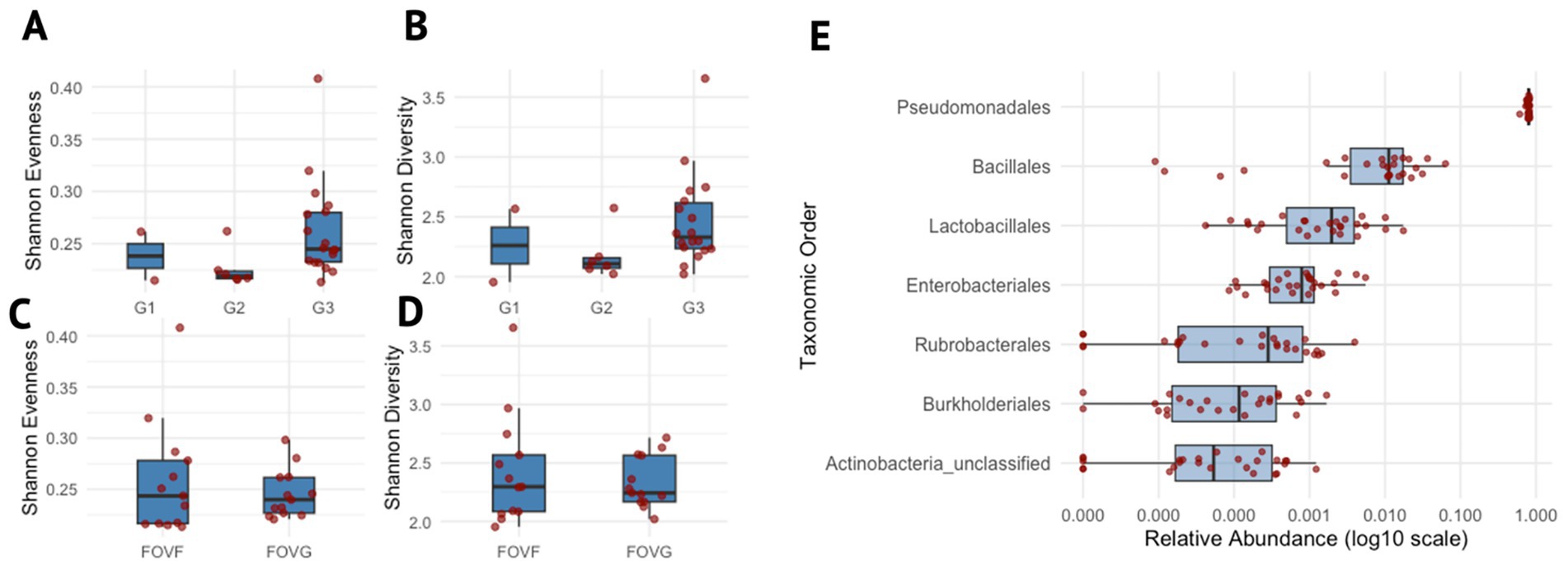 Box plots A and C show Shannon Evenness for groups G1, G2, G3 and FOVF, FOVG. Plots B and D illustrate Shannon Diversity for the same groups. Plot E shows relative abundance of various taxonomic orders on a logarithmic scale. Dots represent data points, and boxes indicate interquartile ranges.