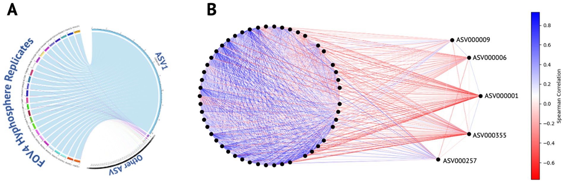 Diagram of microbial network correlations. Panel A displays connections between microbial taxa using a circular layout labeled