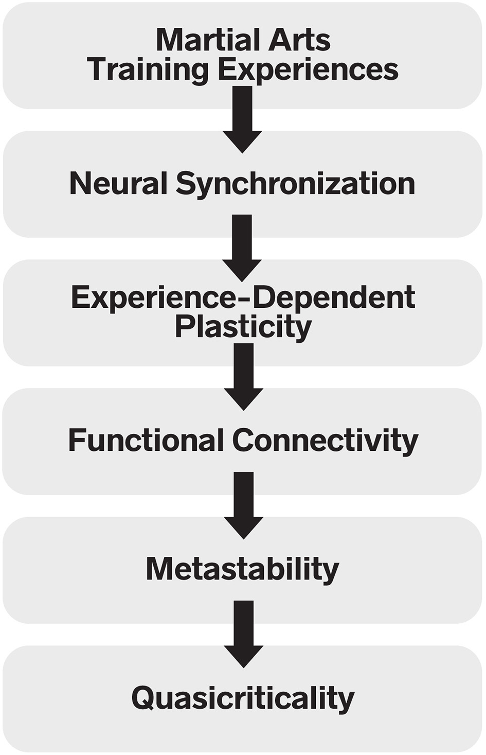 A vertical flowchart depicts six light grey, rounded rectangular boxes stacked sequentially, connected by thick black downward arrows indicating flow. From top to bottom, the boxes contain the bold black text: “Martial Arts Training Experiences,” “Neural Synchronization,” “Experience-Dependent Plasticity,” “Functional Connectivity,” “Metastability,” and “Quasicriticality.” This diagram visually represents the core mechanistic cascade proposed by the Integrative Theory of Martial Arts (ITMA).