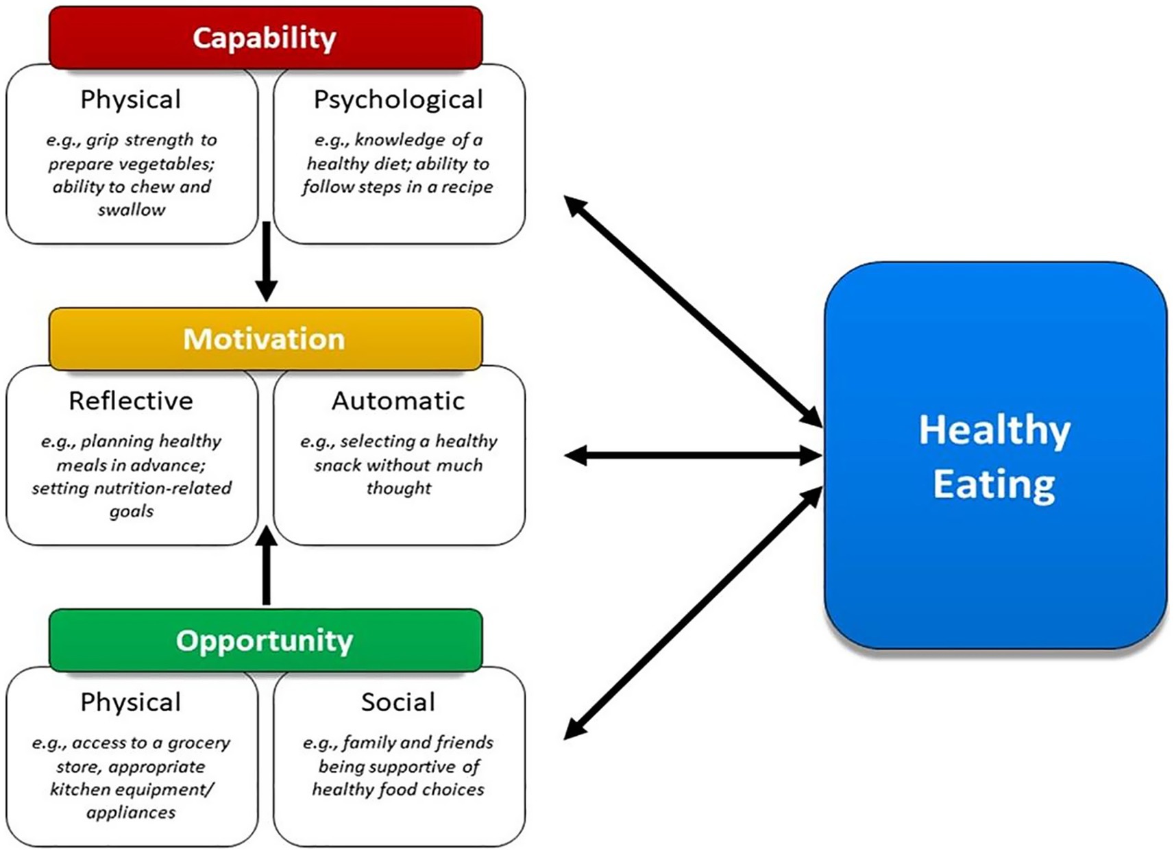 Flowchart illustrating factors influencing healthy eating: Capability (physical and psychological), Motivation (reflective and automatic), and Opportunity (physical and social). Arrows connect these to the goal of