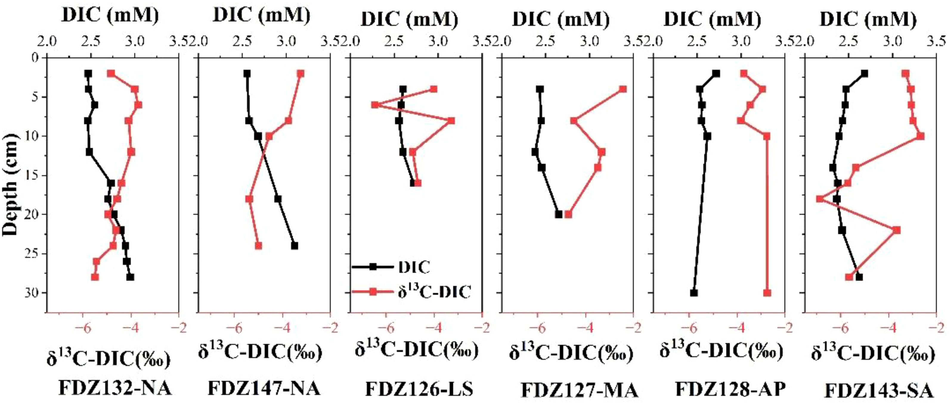 Graphs displaying depth profiles of dissolved inorganic carbon (DIC) concentration and δ¹³C-DIC in six sediment cores: FDZ132-NA, FDZ147-NA, FDZ126-LS, FDZ127-MA, FDZ128-AP and FDZ143-SA. Black lines represent DIC concentration in millimoles per liter, and red lines show δ¹³C-DIC in parts per thousand. Depths range from zero to thirty centimeters.