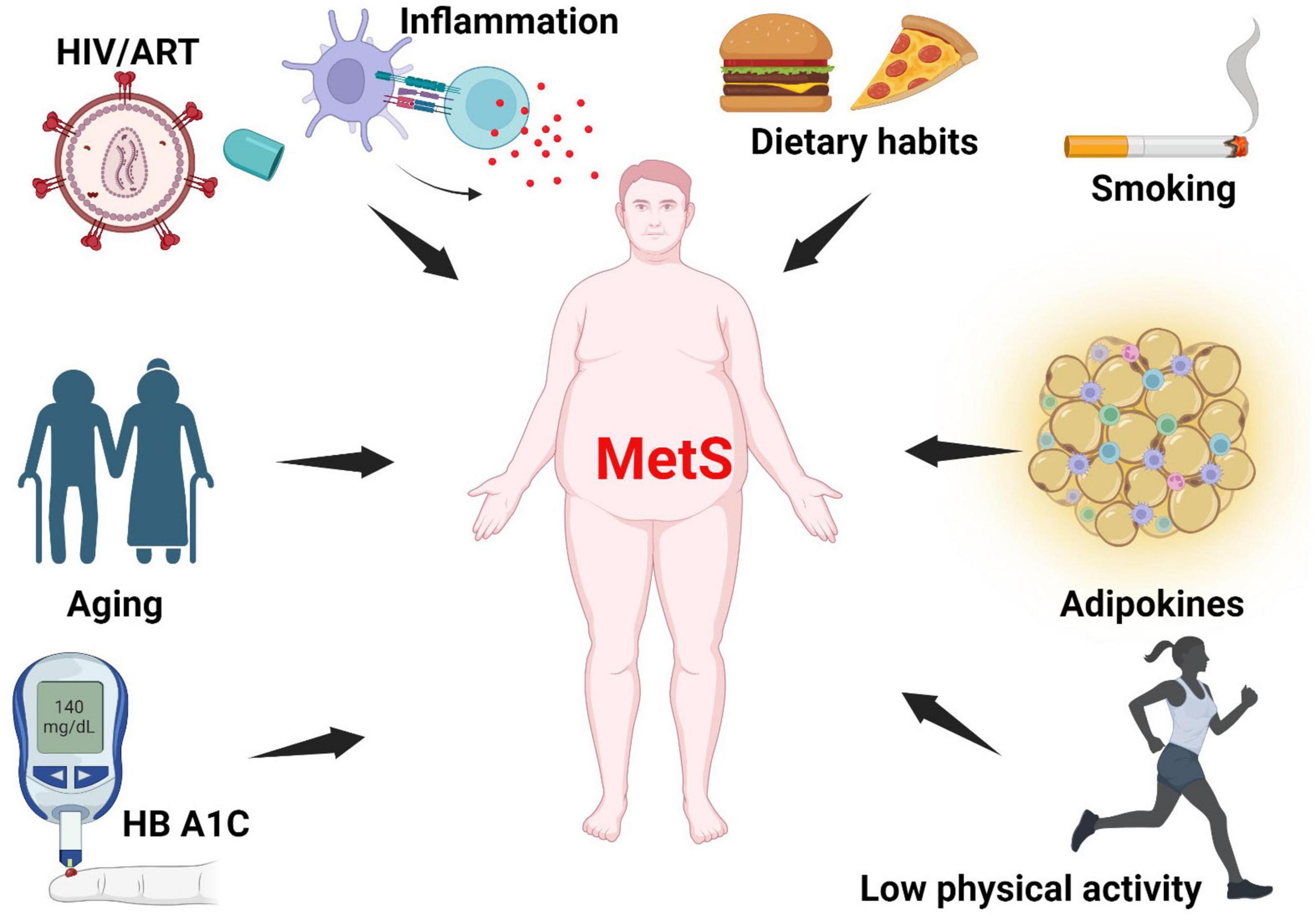 Diagram illustrating factors contributing to metabolic syndrome (MetS). Central figure labeled MetS, surrounded by arrows pointing from HIV/ART, inflammation, poor dietary habits, smoking, adipokine imbalance, low physical activity, elevated HB A1C levels, and aging, indicating these as contributing factors.