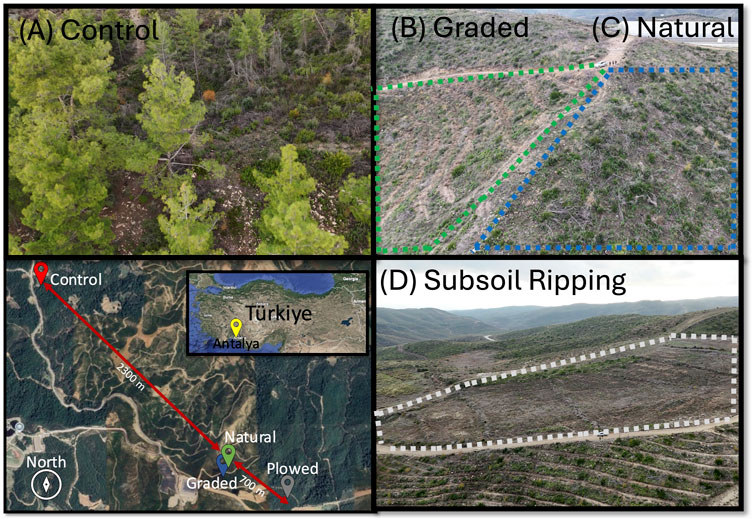 A grid of images shows different land management techniques. (A) Control: a dense forest area. (B) Graded: hillside with demarcated sections. (C) Natural: continuation of the hillside. (D) Subsoil Ripping: terraced landscape. A map highlights locations in Türkiye, with distances marked between sites.