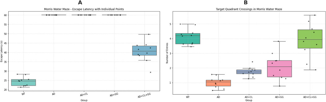 Two box plots show data from the Morris Water Maze task. Plot A depicts escape latency in seconds for four groups: WT, AD, AD+CL, AD+GG, and AD+CL+GG. Plot B shows the number of target quadrant crossings for the same groups. Each plot includes individual data points. Groups WT and AD+CL+GG show better performance in both measures.