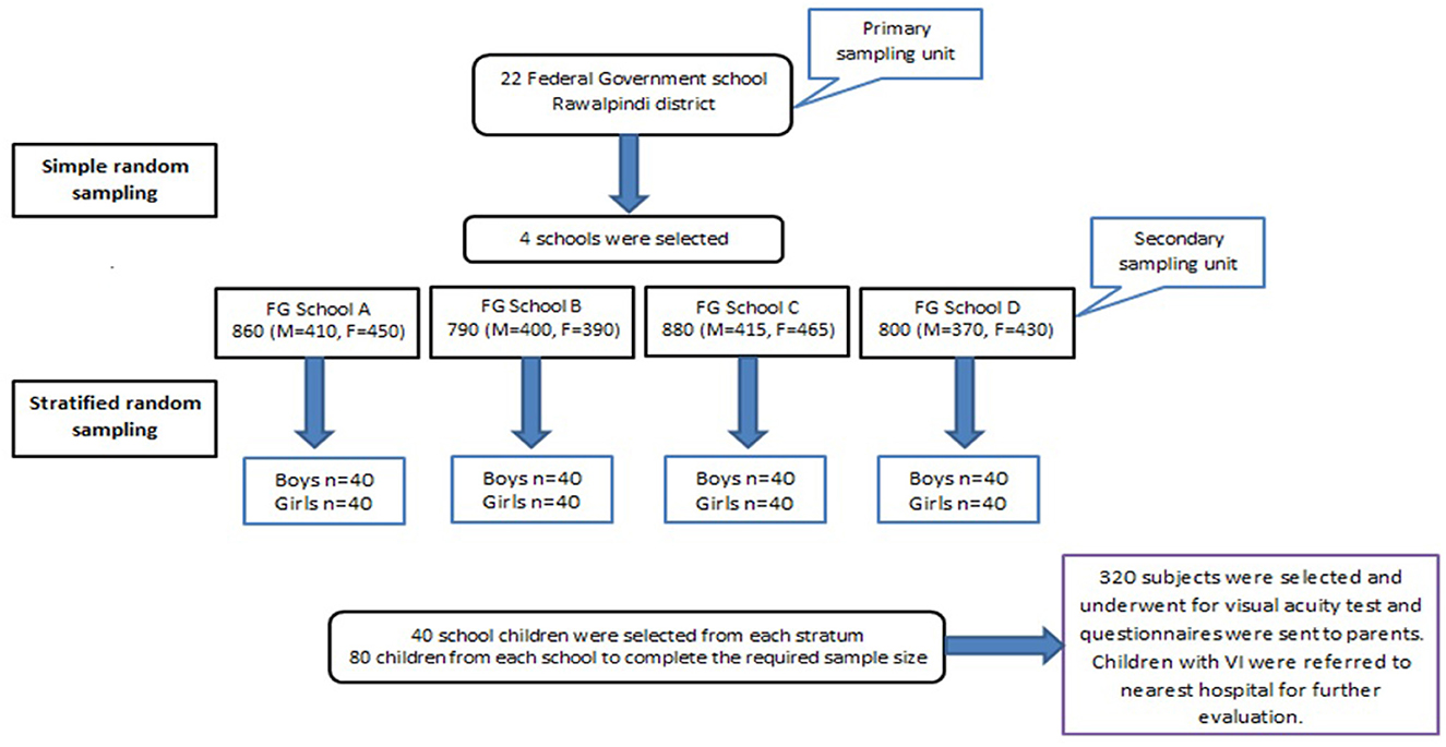 Flowchart illustrating a sampling method from 22 federal government schools in Rawalpindi district. Four schools are selected using simple random sampling: FG School A (860 students), B (790), C (880), D (800). Children were stratified on the basis of age and gender, and 40 children were selected from each stratum, totaling 320 subjects.These subjects undergo visual acuity tests, with questionnaires sent to parents. Children with visual impairments are referred to nearby hospitals for further evaluation.