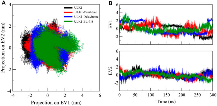Panel A shows a scatter plot with projections on EV1 versus EV2 for ULK1 in black and three compounds: Candidine in red, Delavinone in blue, and BL-918 in green. Panel B consists of two line graphs; the top depicts EV1 versus time in nanoseconds, and the bottom shows EV2 versus time, each with the same color code.