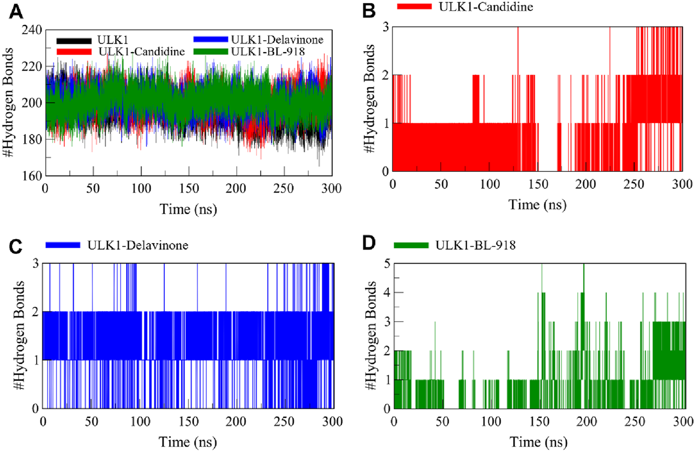 Graphs depict the number of hydrogen bonds over time for ULK1 and various compounds. Panel A shows ULK1 with Candidine, Delavinone, and BL-918. Panels B, C, and D display separate graphs for ULK1 with Candidine, Delavinone, and BL-918, respectively, indicating variations in hydrogen bond formation over 300 nanoseconds.