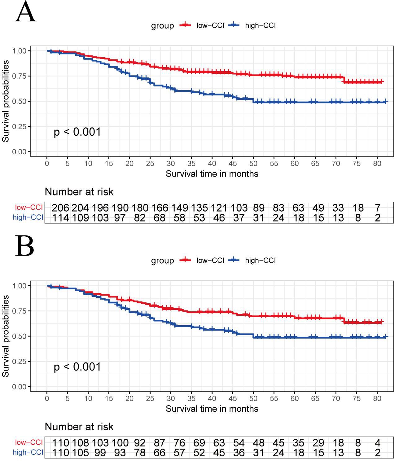 Two Kaplan-Meier survival plots compare low-CCI and high-CCI groups over time. In both plots A and B, the low-CCI group shows higher survival probabilities than the high-CCI group, with a significant p-value of less than 0.001. The number at risk decreases over time for both groups.