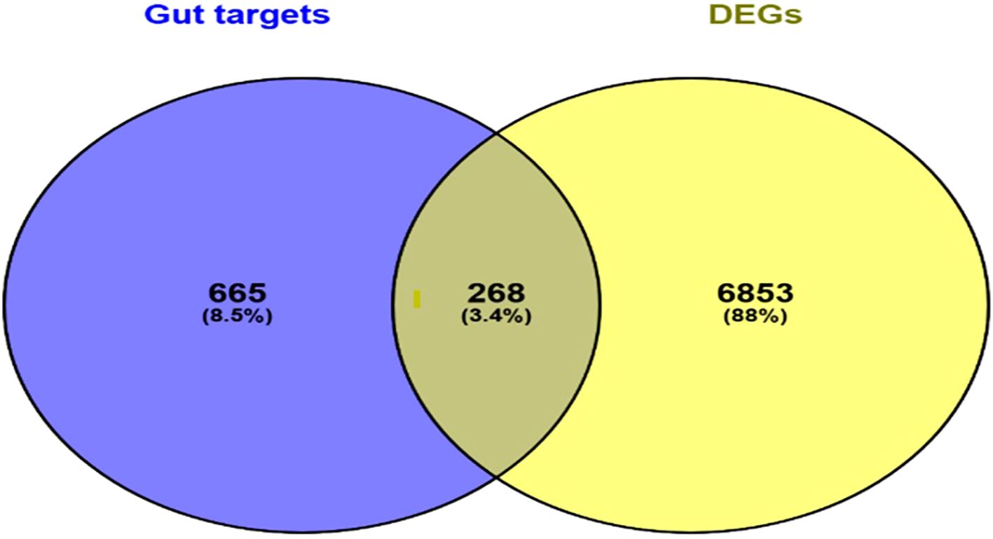 Venn diagram comparing gut targets and differentially expressed genes (DEGs). The blue circle represents gut targets with 665 elements (8.5%). The yellow circle represents DEGs with 6853 elements (88%). The overlapping region contains 268 elements (3.4%).