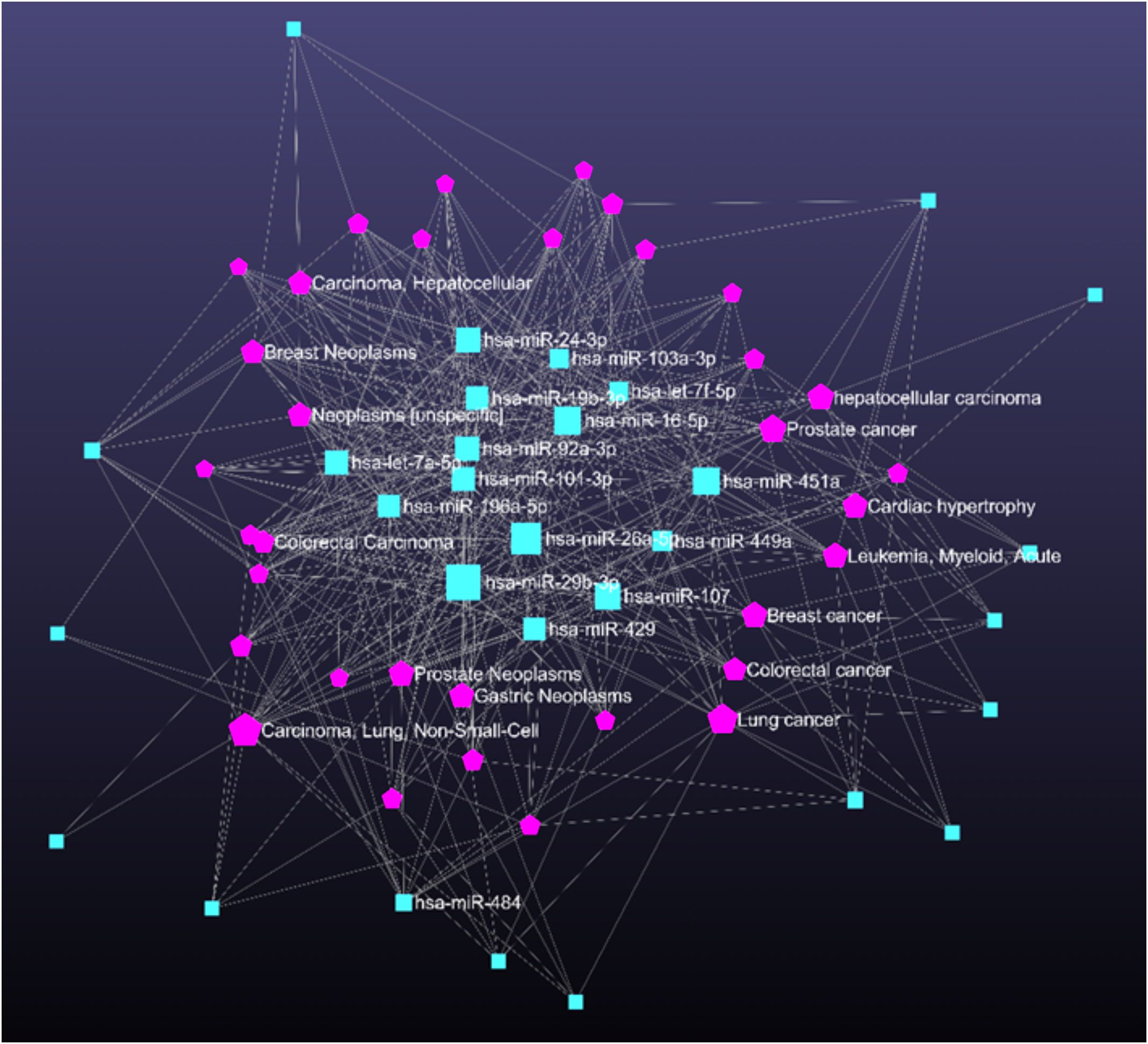 Network diagram showing relationships between various types of cancer and microRNAs. Pink hexagons represent different cancers, while blue squares indicate specific microRNAs. Lines connect related nodes, illustrating interactions and associations.