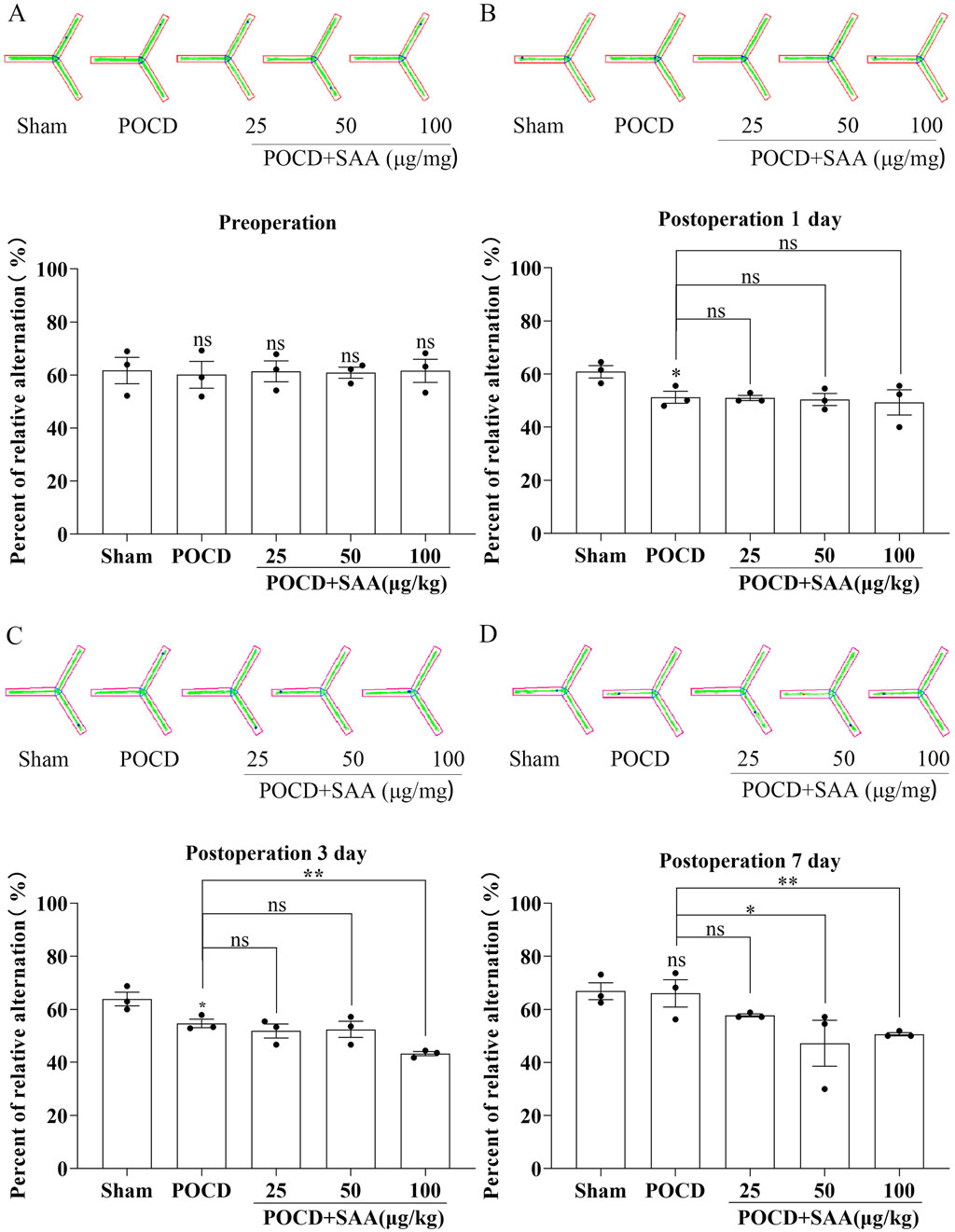 Graphs display the percent of relative alternation in different groups: Sham, POCD, and POCD treated with SAA at doses of 25, 50, and 100 micrograms per kilogram. Panels A through D show results preoperation, and at one, three, and seven days postoperation. Significant differences are noted, with