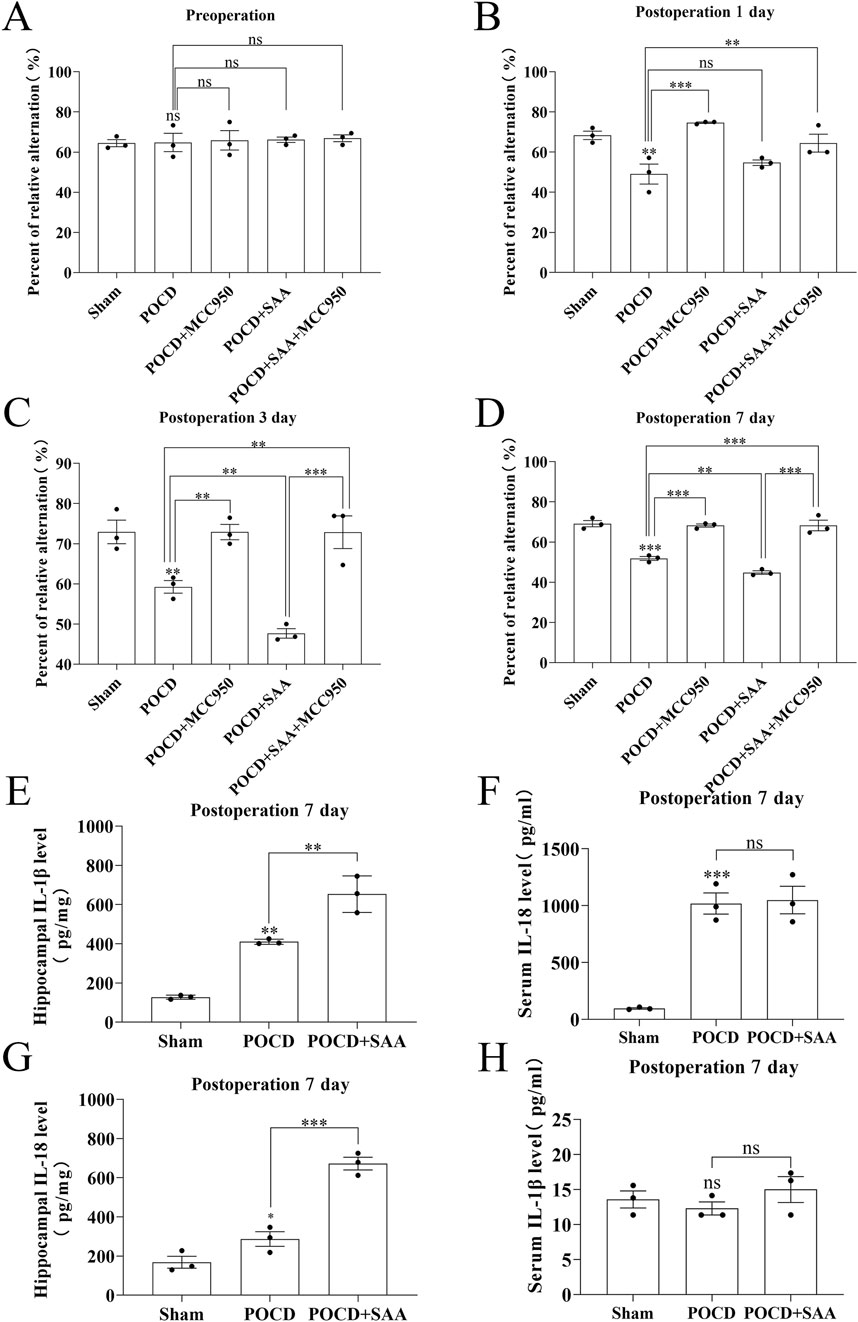 Graphs A to D display the percent of relative alternation at different time points: preoperation, and postoperation at days one, three, and seven, comparing multiple groups including Sham, POCD, and treatments such as MCC950 and SAA. Graphs E to H show IL-1β and IL-18 levels in hippocampus and serum on postoperation day seven, indicating inflammatory responses in Sham, POCD, and POCD+SAA groups. Significance levels are marked by asterisks, with