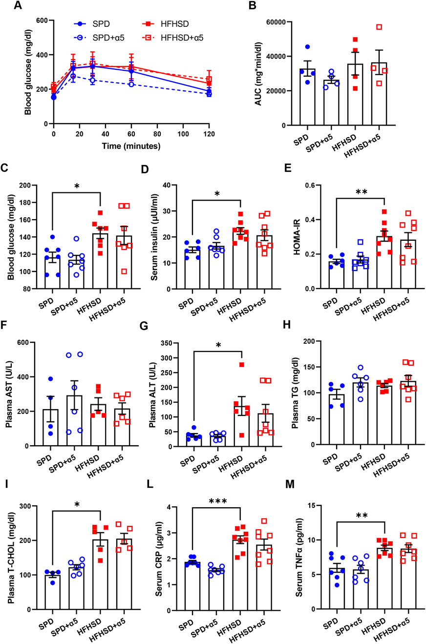 Graphs showing the effects of SPD, SPD+α5, HFHSD, and HFHSD+α5 diets on various health markers. (A) Blood glucose levels over time, (B) AUC for glucose, (C) fasting blood glucose, (D) serum insulin, (E) HOMA-IR, (F) plasma AST, (G) plasma ALT, (H) plasma triglycerides, (I) plasma cholesterol, (L) serum CRP, and (M) serum TNFα. Error bars and significance levels are indicated.