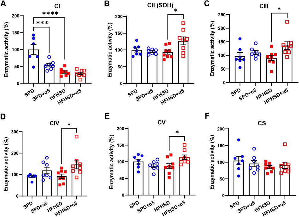 Bar graphs labeled A to F compare enzymatic activities of complexes I to V and citrate synthase (CS) across four groups: SPD, SPD+α5, HFHSD, and HFHSD+α5. Each bar represents mean activity with error bars. Significant differences are marked with asterisks, ranging from one to four. Graph A shows the highest significance, while B, C, D, and E display varying levels of significance. Graph F shows no significant difference. The data suggest differential responses among the groups.