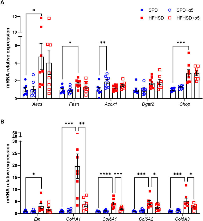 Bar charts showing mRNA relative expression levels for various genes under different conditions. Chart A compares expressions of Aacs, Fasn, Acox1, Dgat2, and Chop. Chart B compares Eln, Col1A1, Col6A1, Col6A2, and Col6A3. Blue circles represent SPD and SPD+α5, red squares represent HFHSD and HFHSD+α5. Asterisks indicate levels of statistical significance.