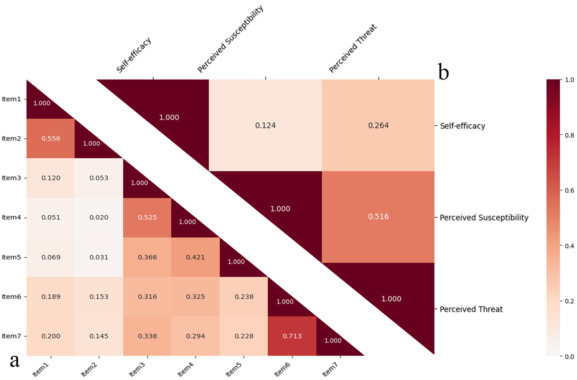 Correlation matrix with a heatmap displaying relationships among items and categories: self-efficacy, perceived susceptibility, and perceived threat. Values range from 0.0 to 1.0, with darker colors indicating stronger correlations.