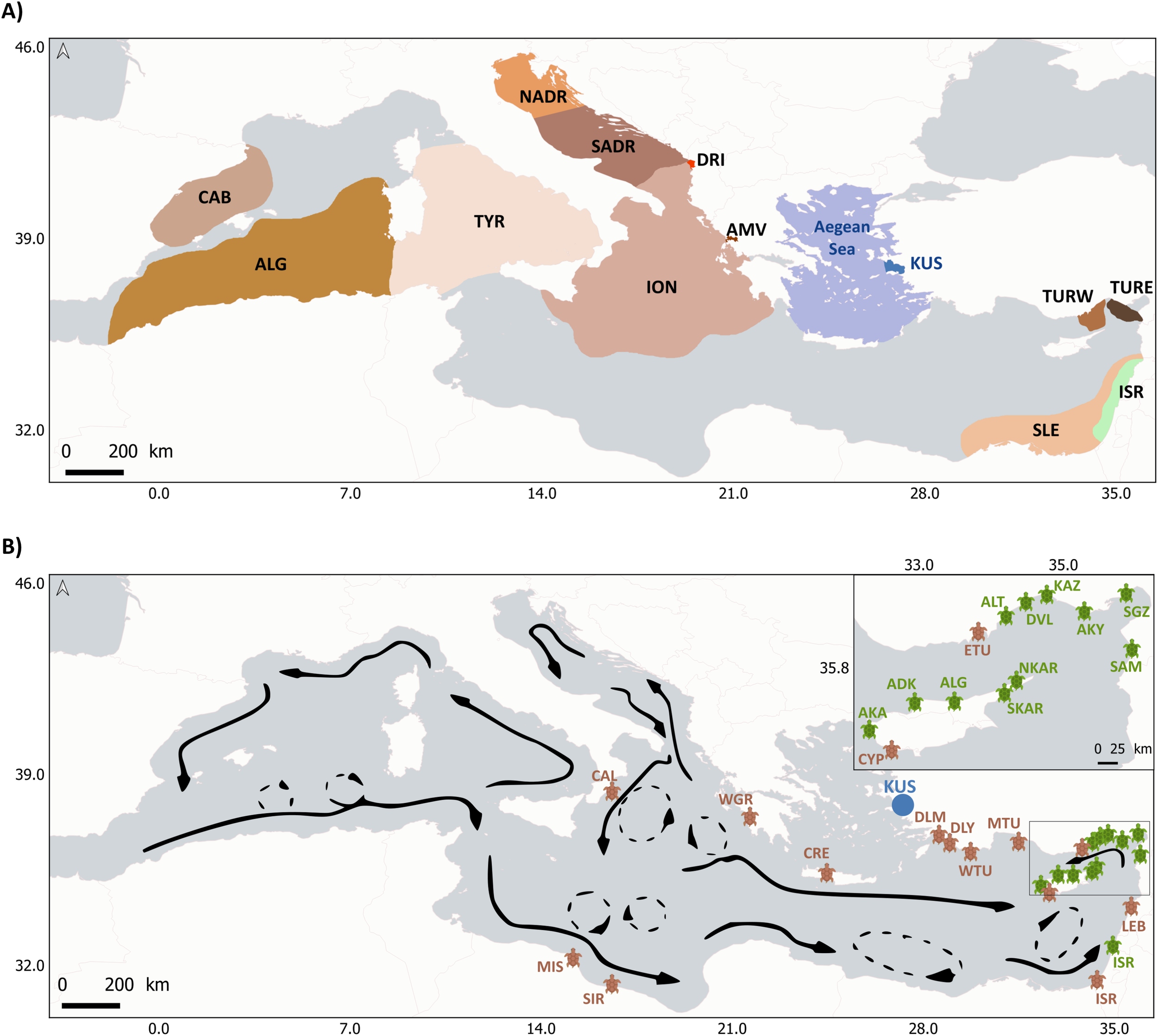 Map divided into two panels. Panel A shows the Mediterranean region with various color-coded areas labeled ALG, CAB, NADR, SADR, TYR, ION, AMV, DRI, ISR, SLE, TURW, and TURE around the Aegean Sea. Panel B illustrates ocean currents with black arrows and labeled points such as CAL, MIS, SIR, and KUS. Inset maps show additional labeled points like ETU, ALT, KAZ, ISR, and LEB. A scale is provided for reference.