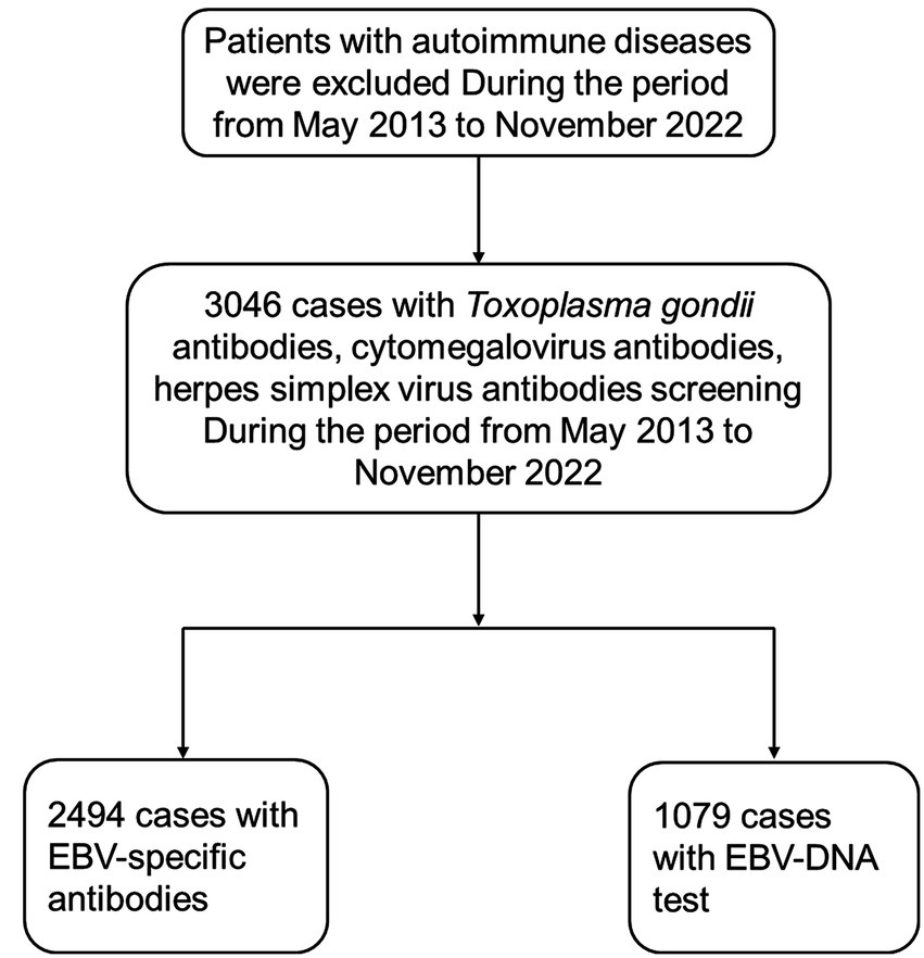 Flowchart illustrating the selection process of cases. Patients with autoimmune diseases were excluded from May 2013 to November 2022. Out of 3,046 cases screened for Toxoplasma gondii, cytomegalovirus, and herpes simplex virus antibodies, 2,494 cases underwent EBV-specific antibodies, and 1,079 cases underwent EBV-DNA testing.